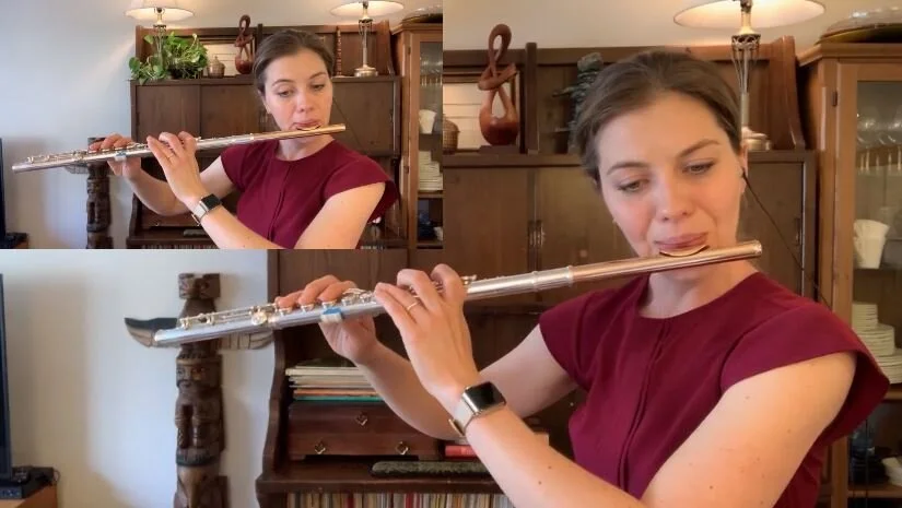 Flute Lesson: Gariboldi Flute Duet no.4