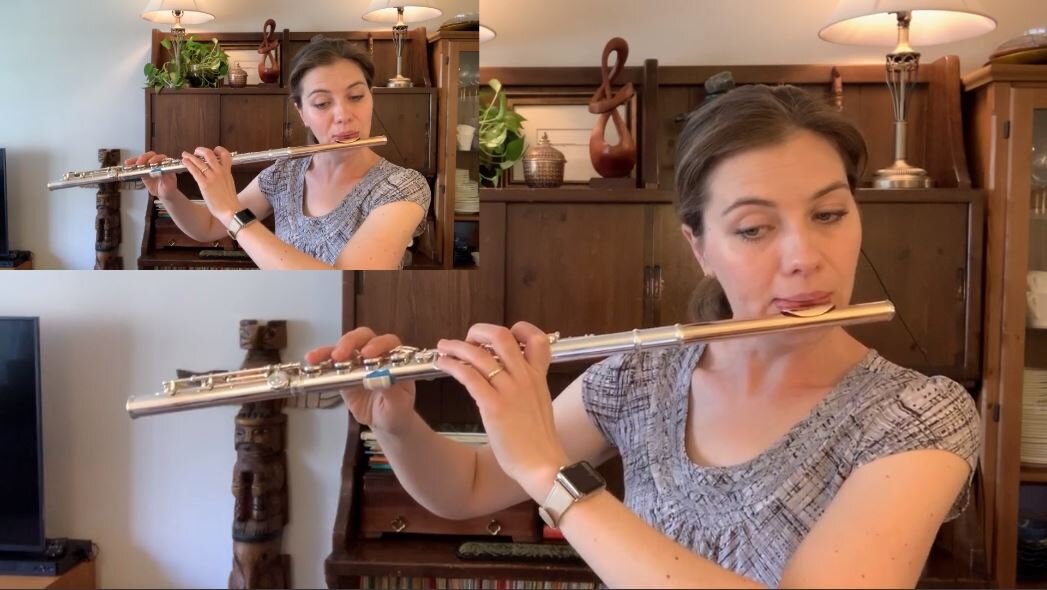 Flute Lesson: Gariboldi Flute Duet no.3