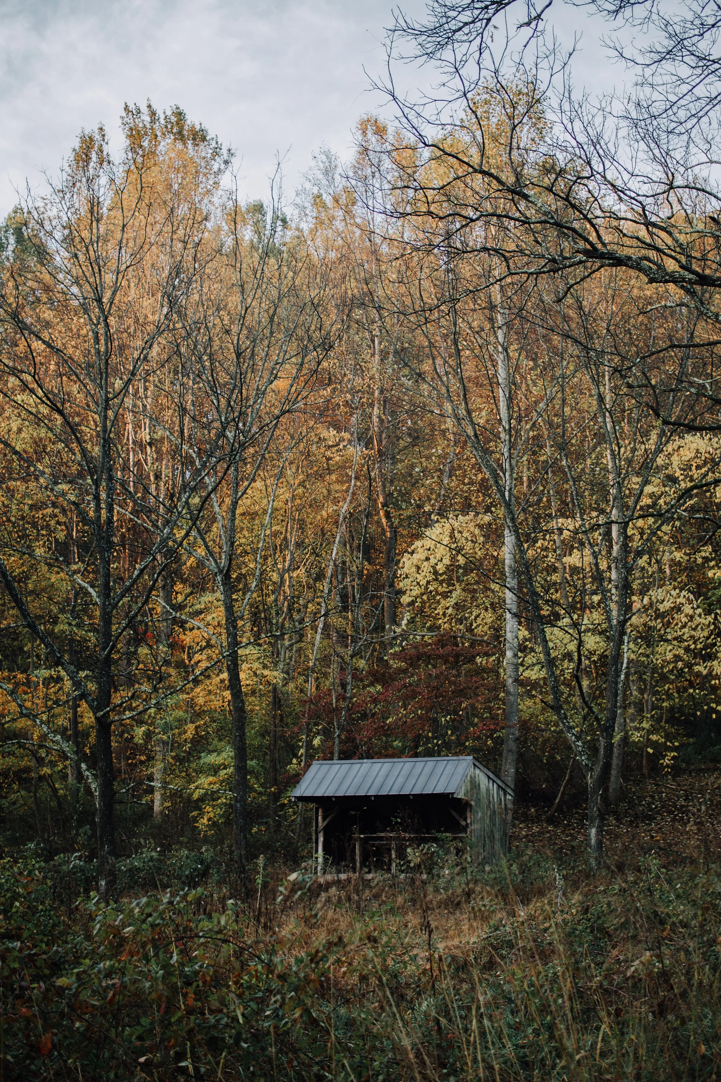 mike-petrucci-437633-unsplash.jpg