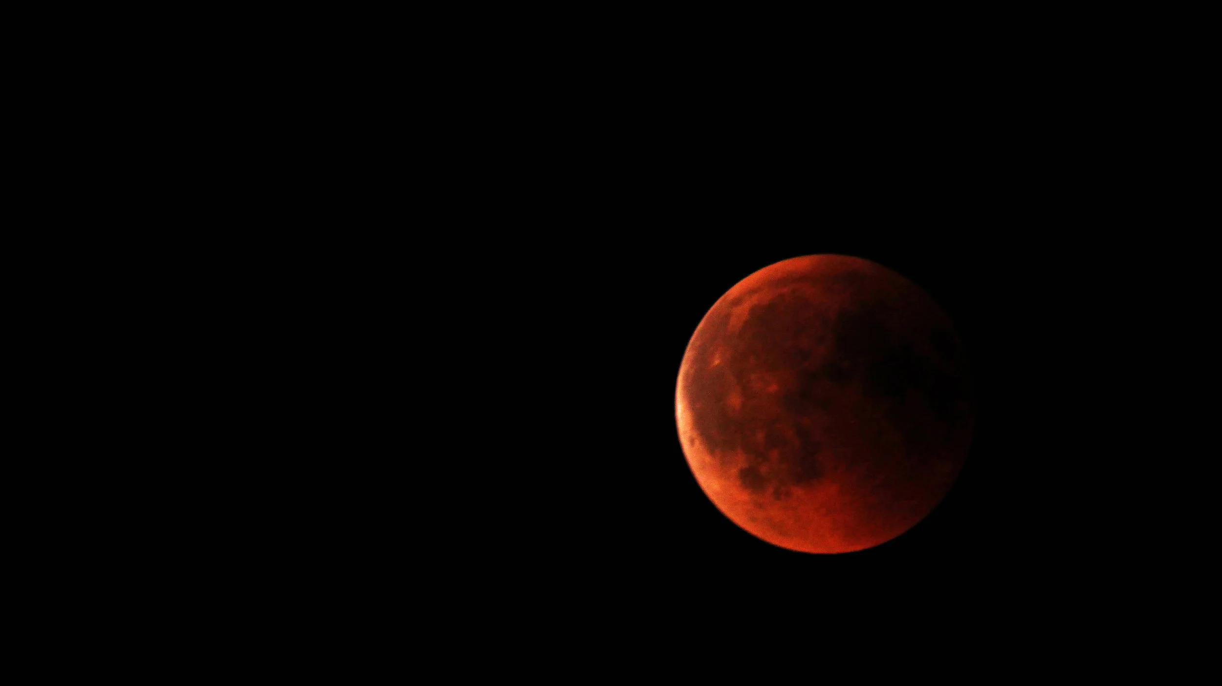 Under a Blood Moon, I Get My Brain Scanned