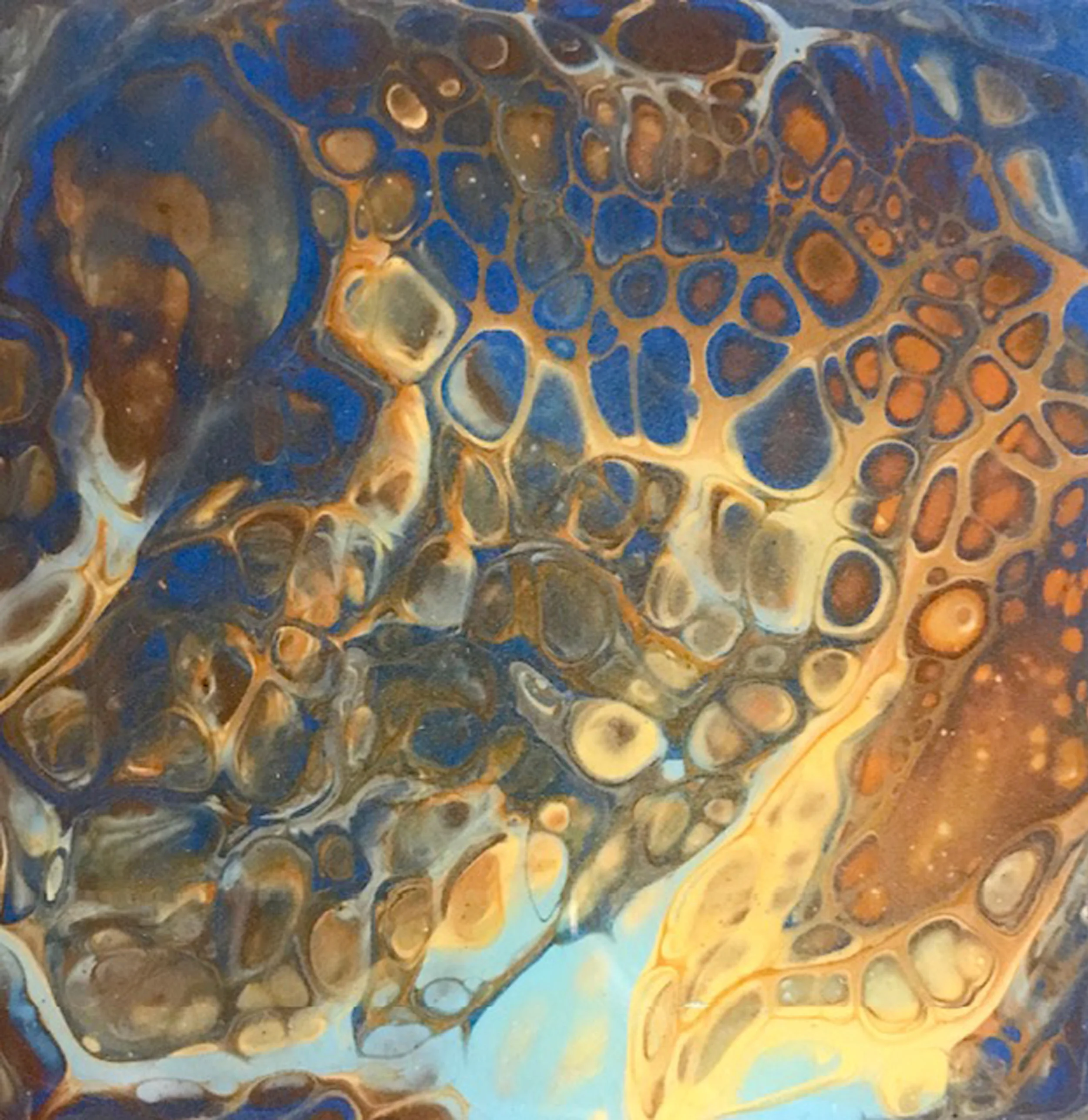 Water Snake