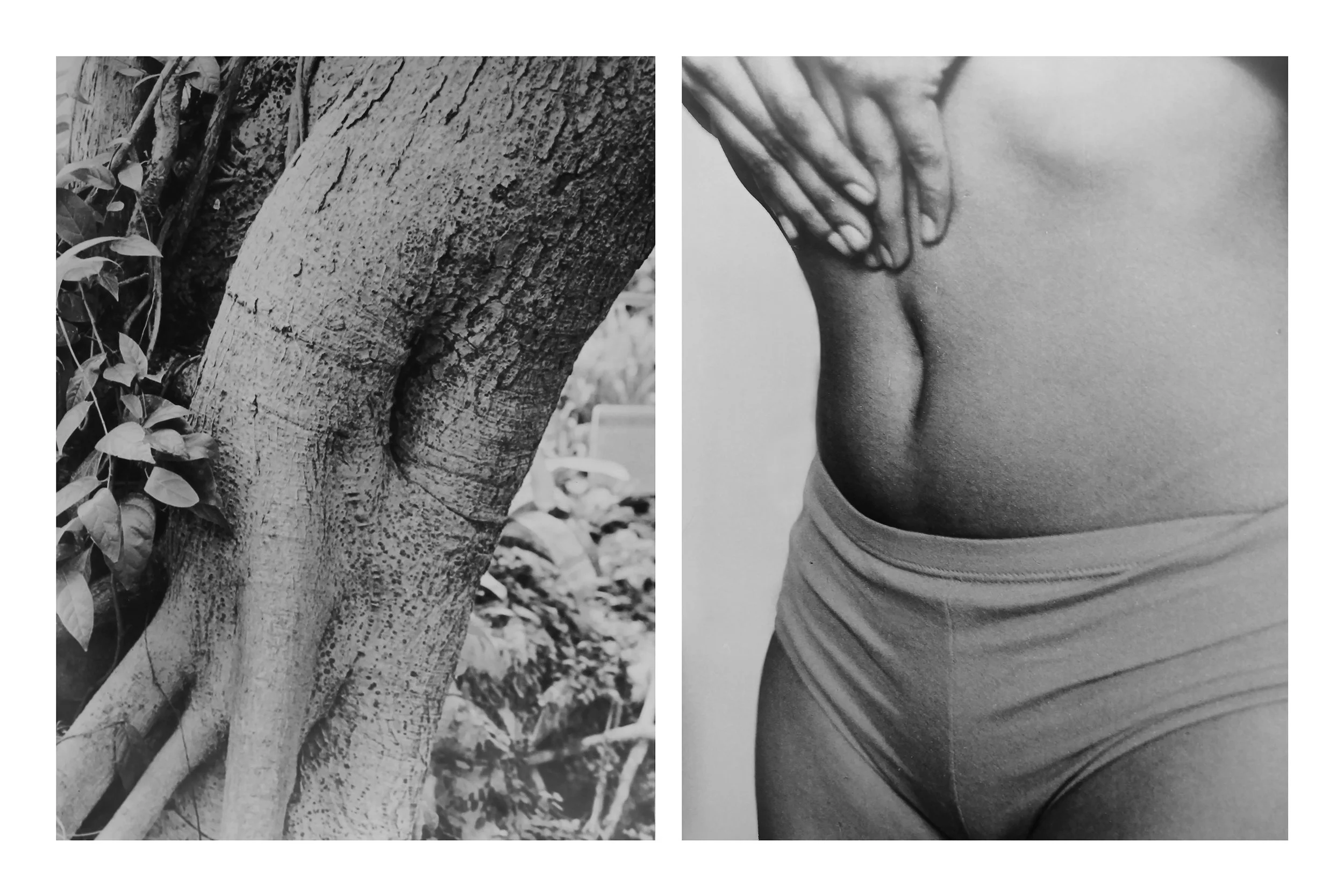 Nature Nurture Figure One