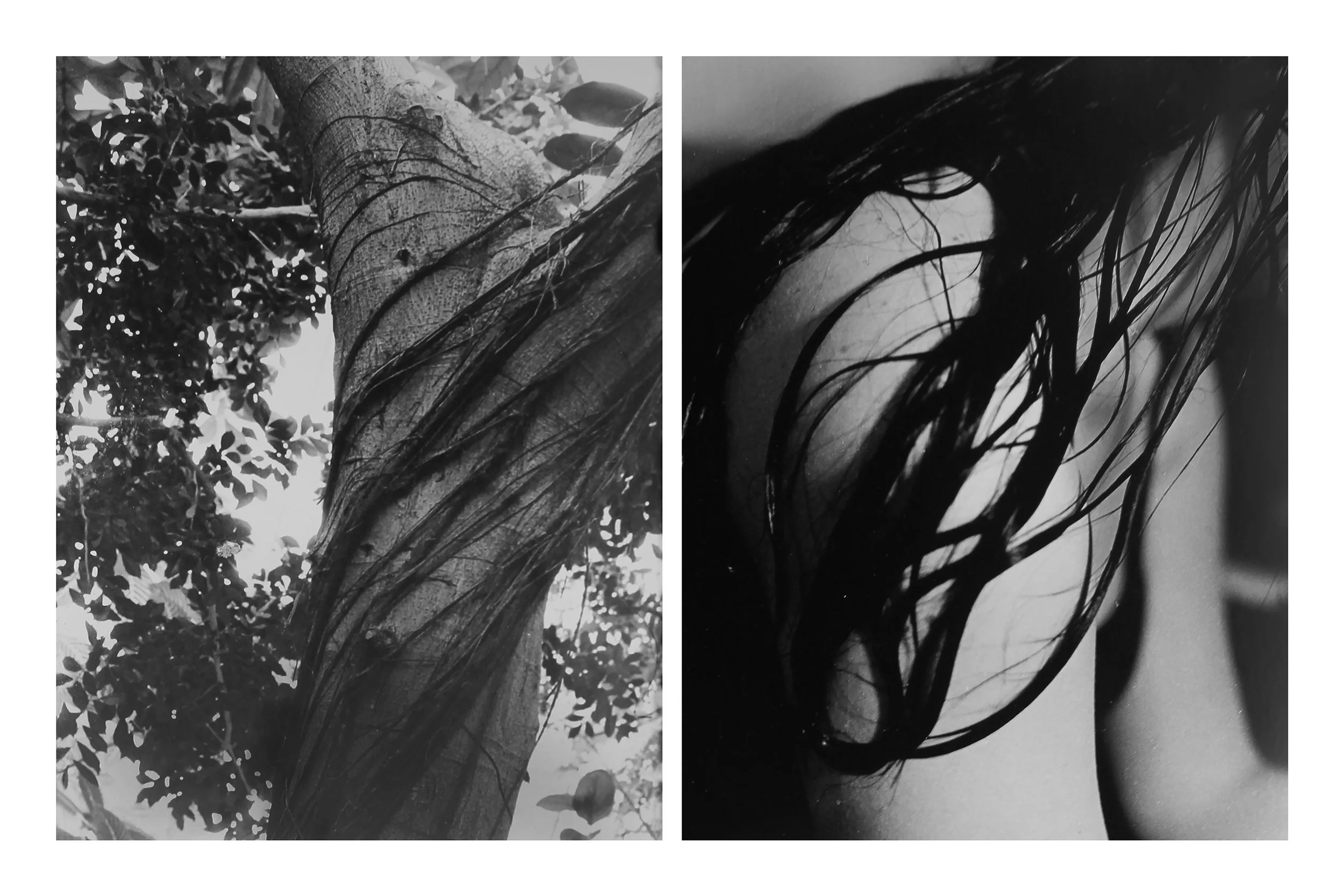 Nature Nurture Figure Five