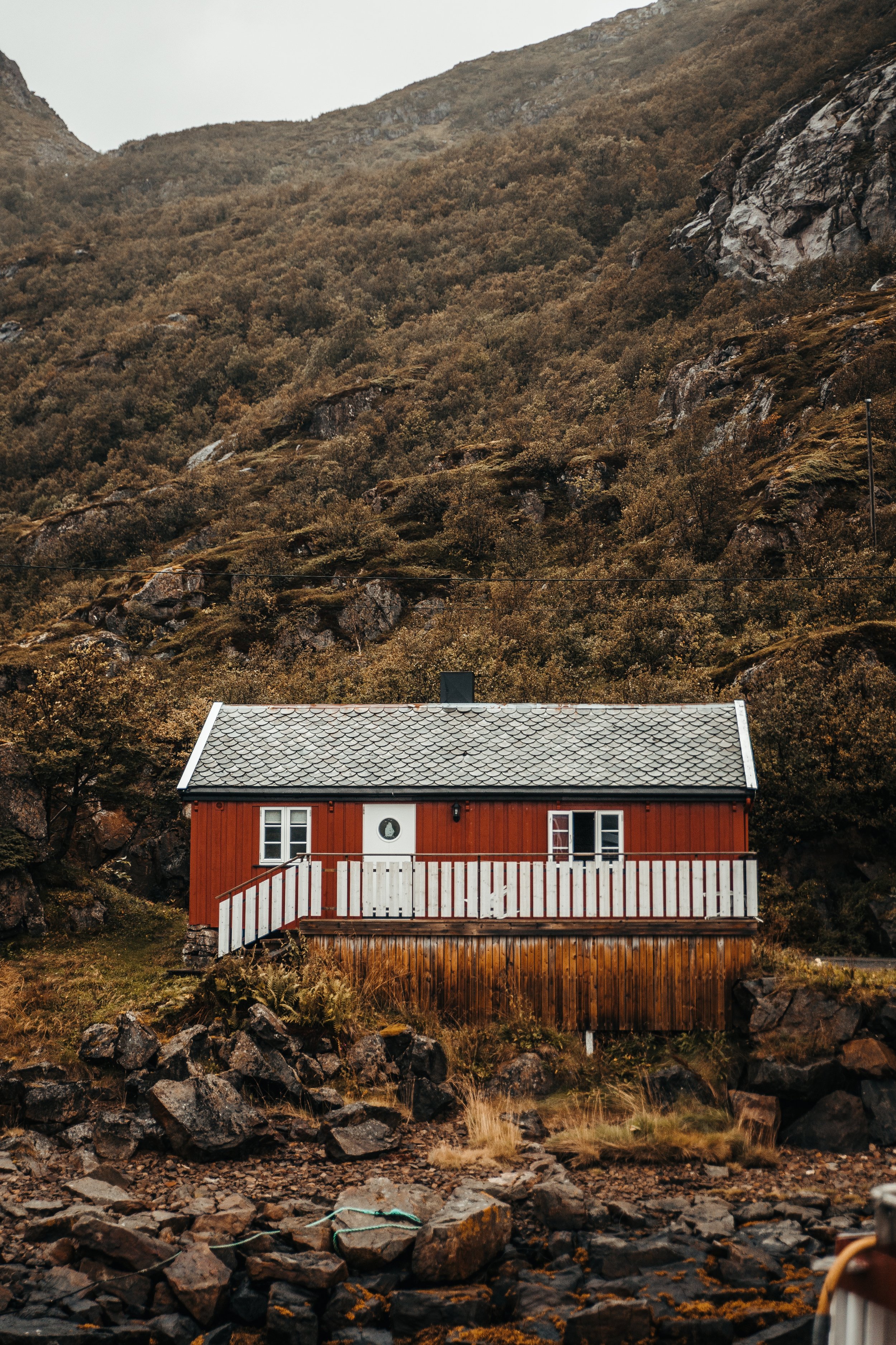 niklas-tidbury-1118673-unsplash.jpg