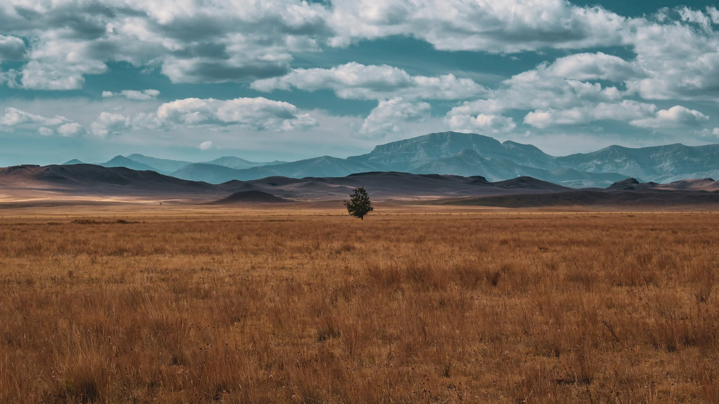 Tributaries: "Holding Hands in Montana"