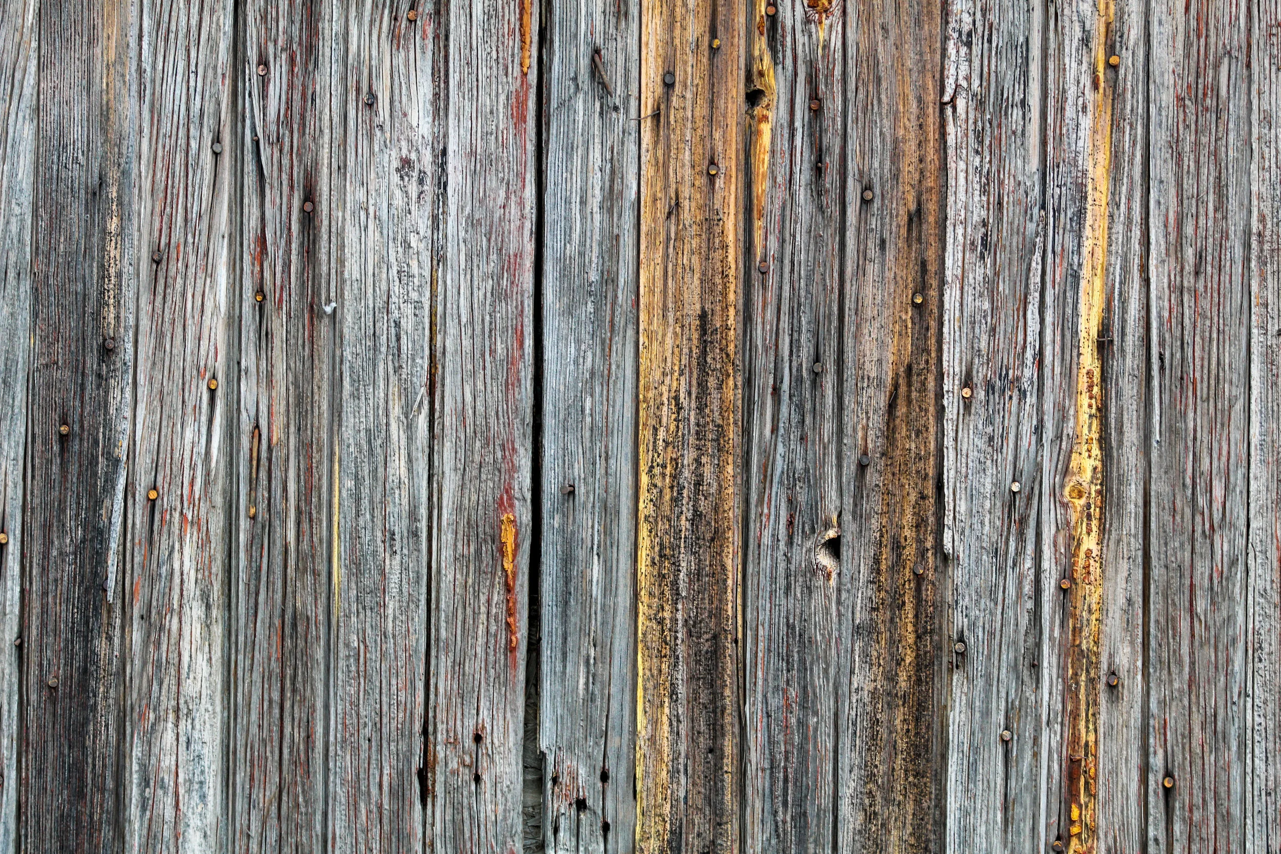 Tributaries: "Postgrad"