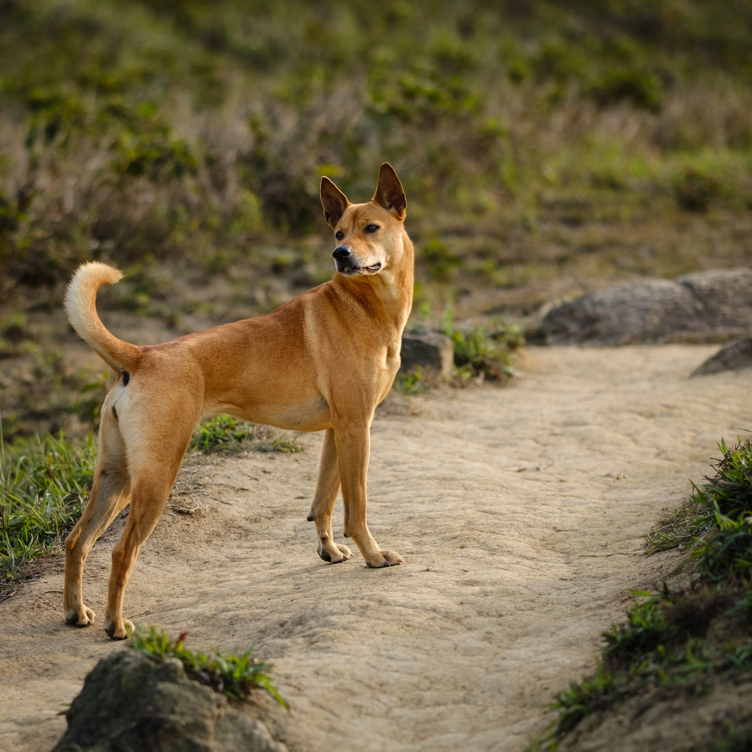 Sublime Long After the End