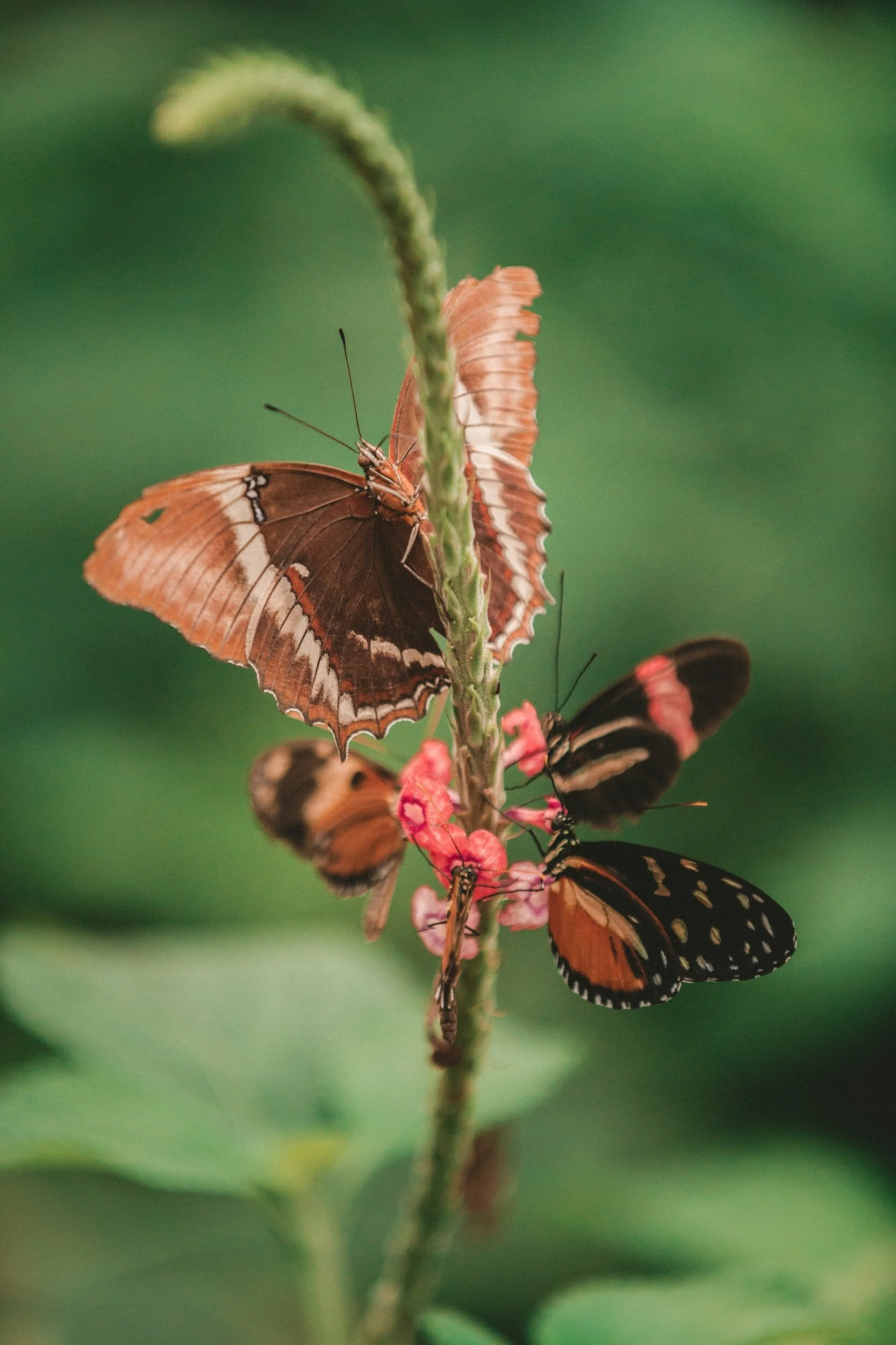 unsplash-image-7o8z3sK2k5s.jpg