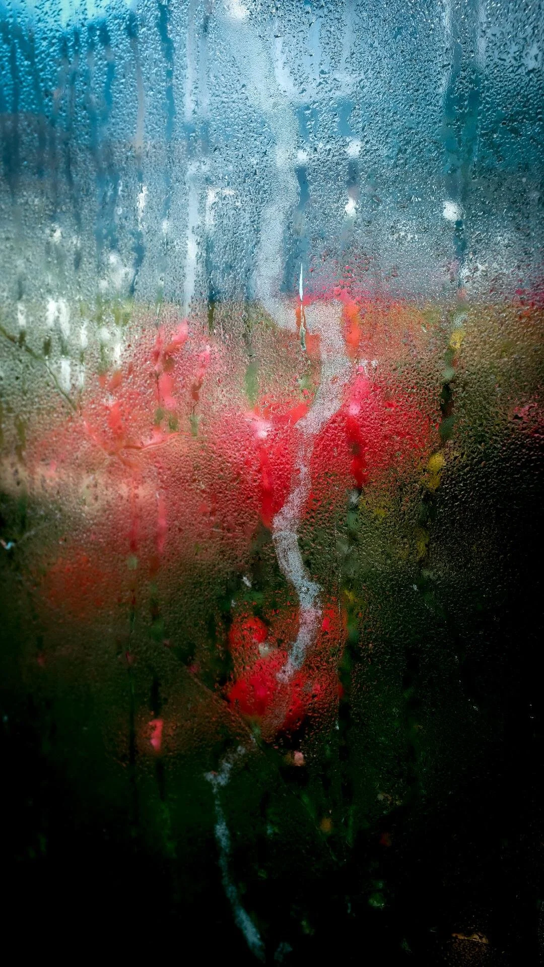 Red Flowers with Snail Trail