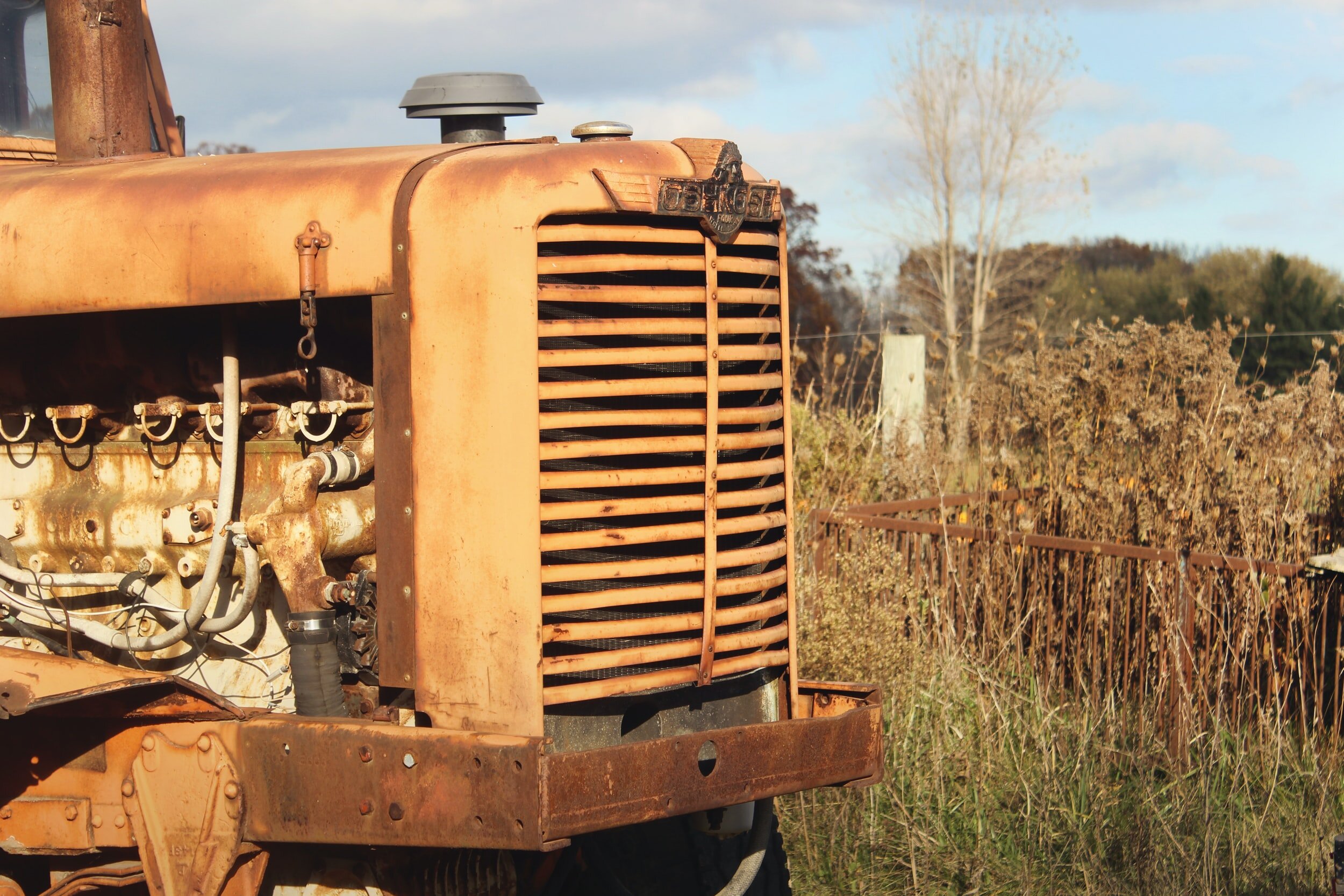 I Too Take Shelter in the Body; Postscript for a Flyover Country