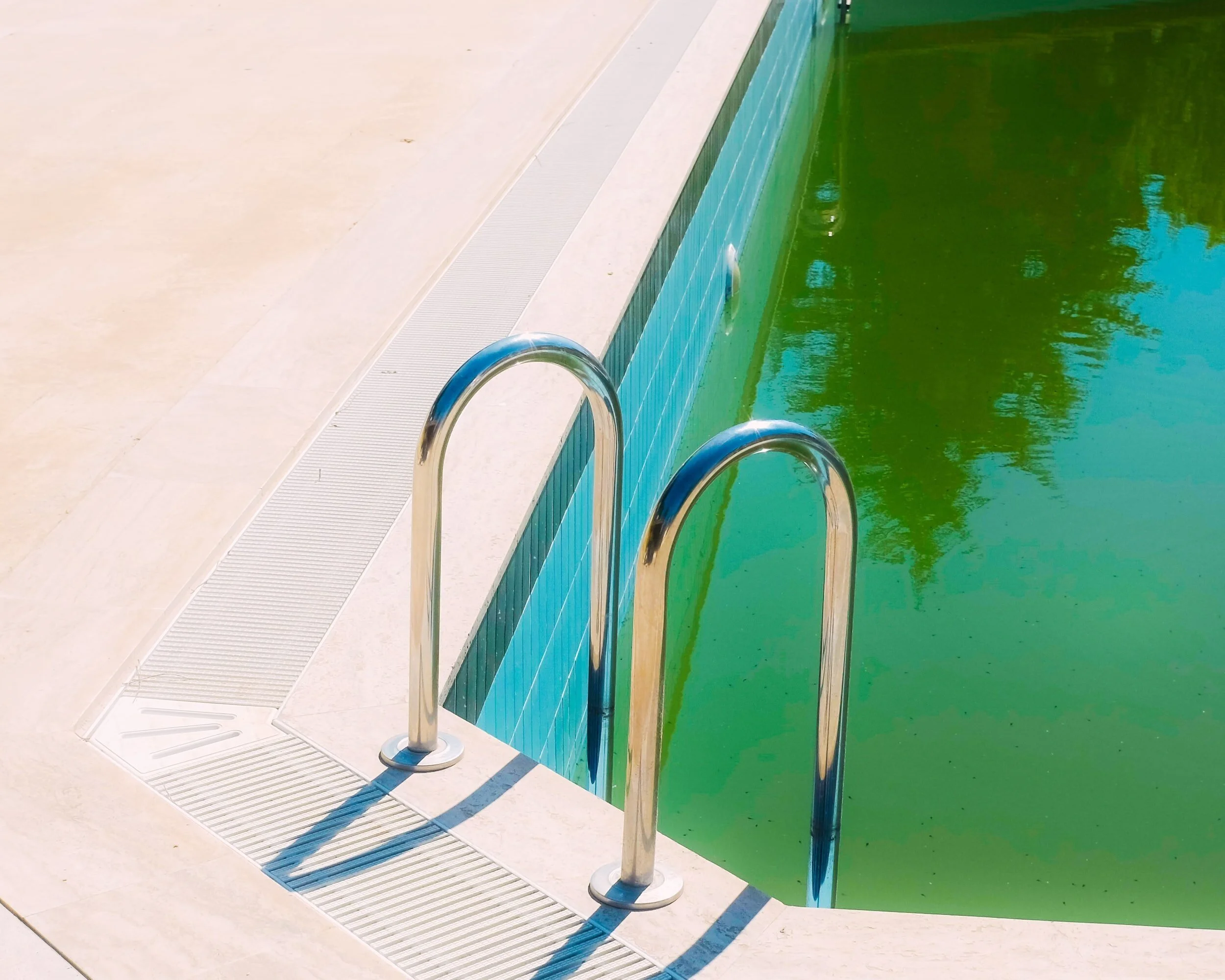 After Apple Picking, Late Anthropocene; Swampland; and Words like salsuginous