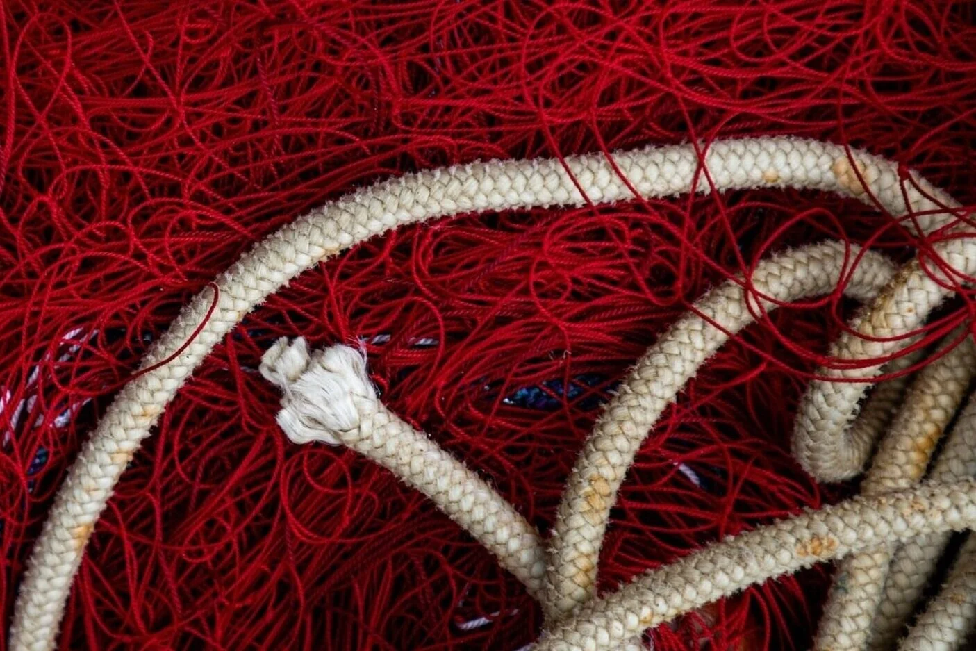 Rope into String; Bless