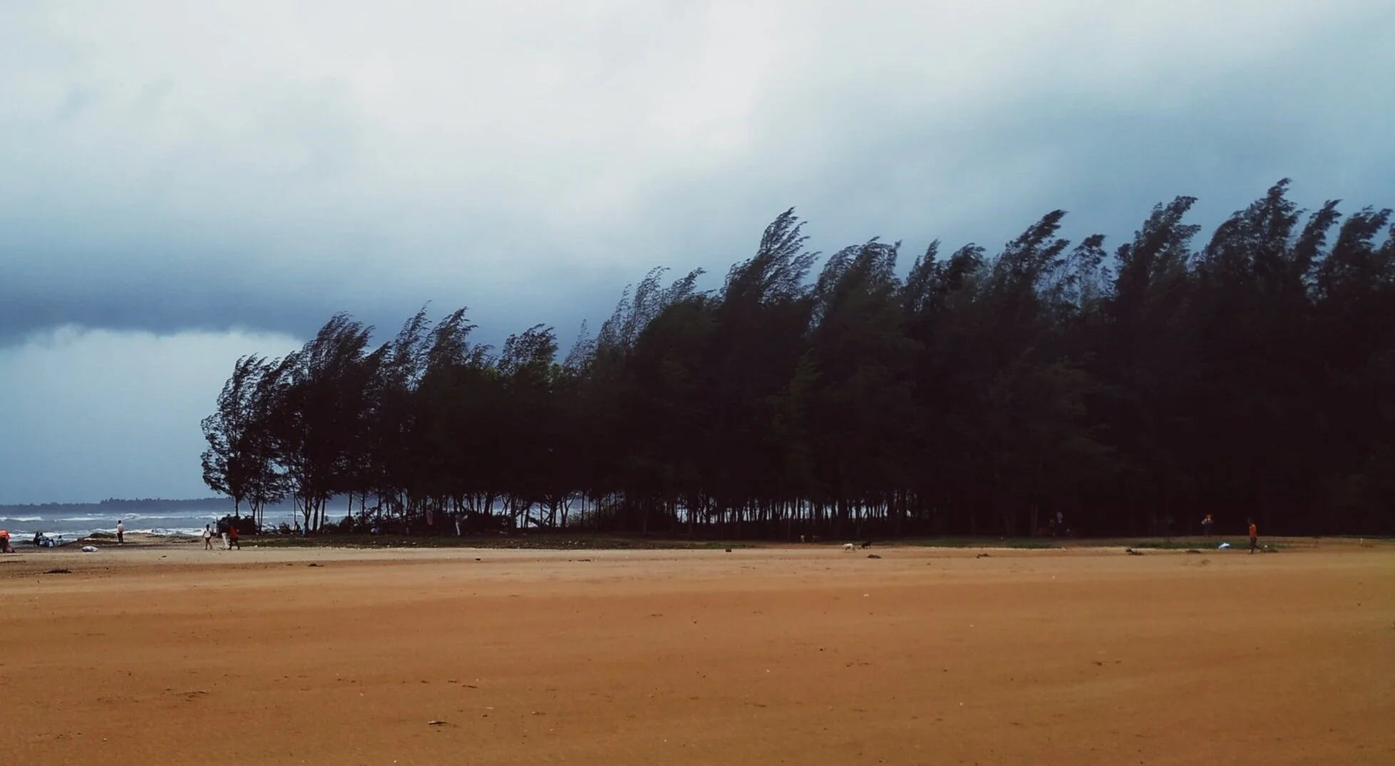 Echo, Orion, in Steel Wood; Echo, Hector, in Burnt Corn