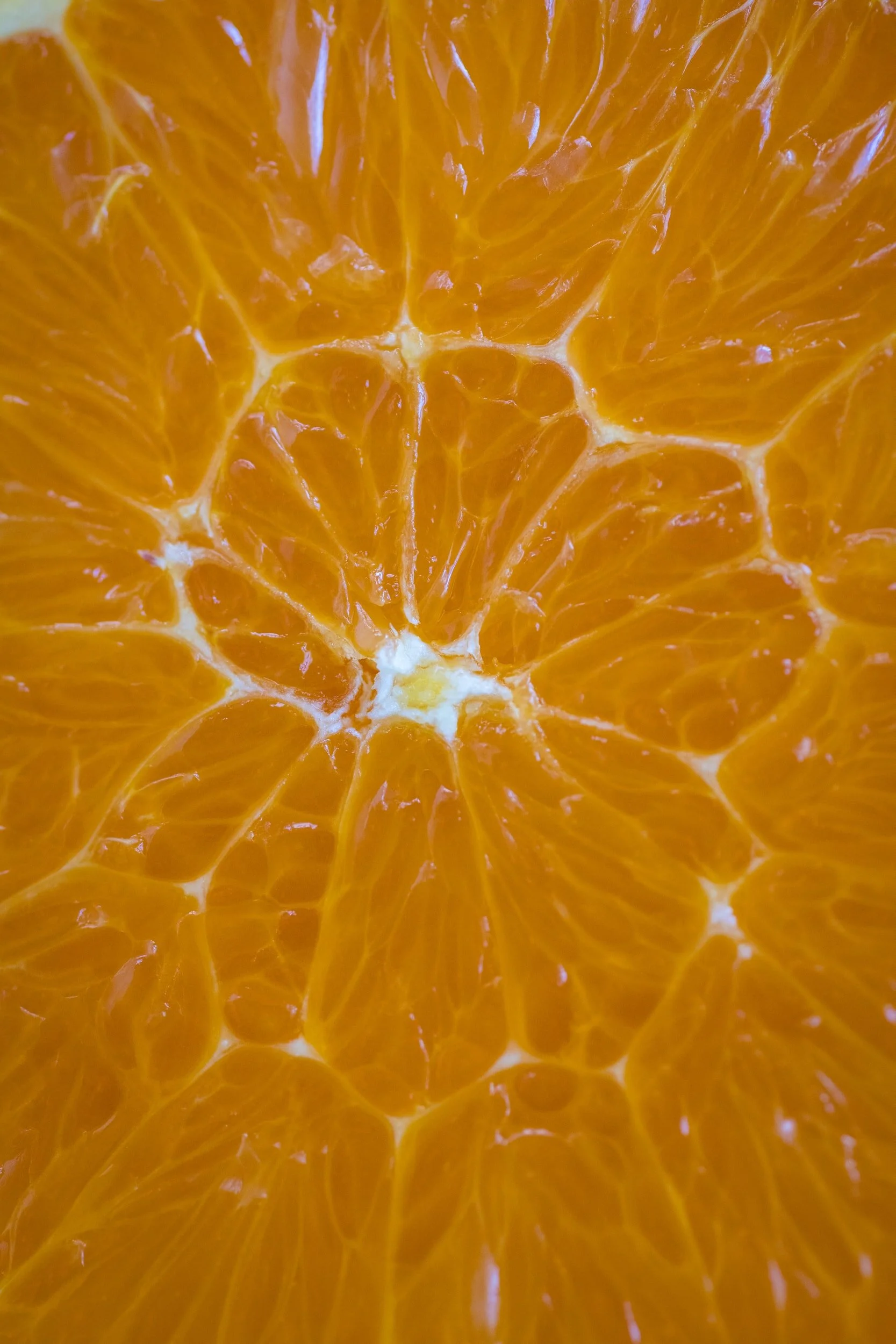 unsplash-image-iuo6nxe9RUA.jpg