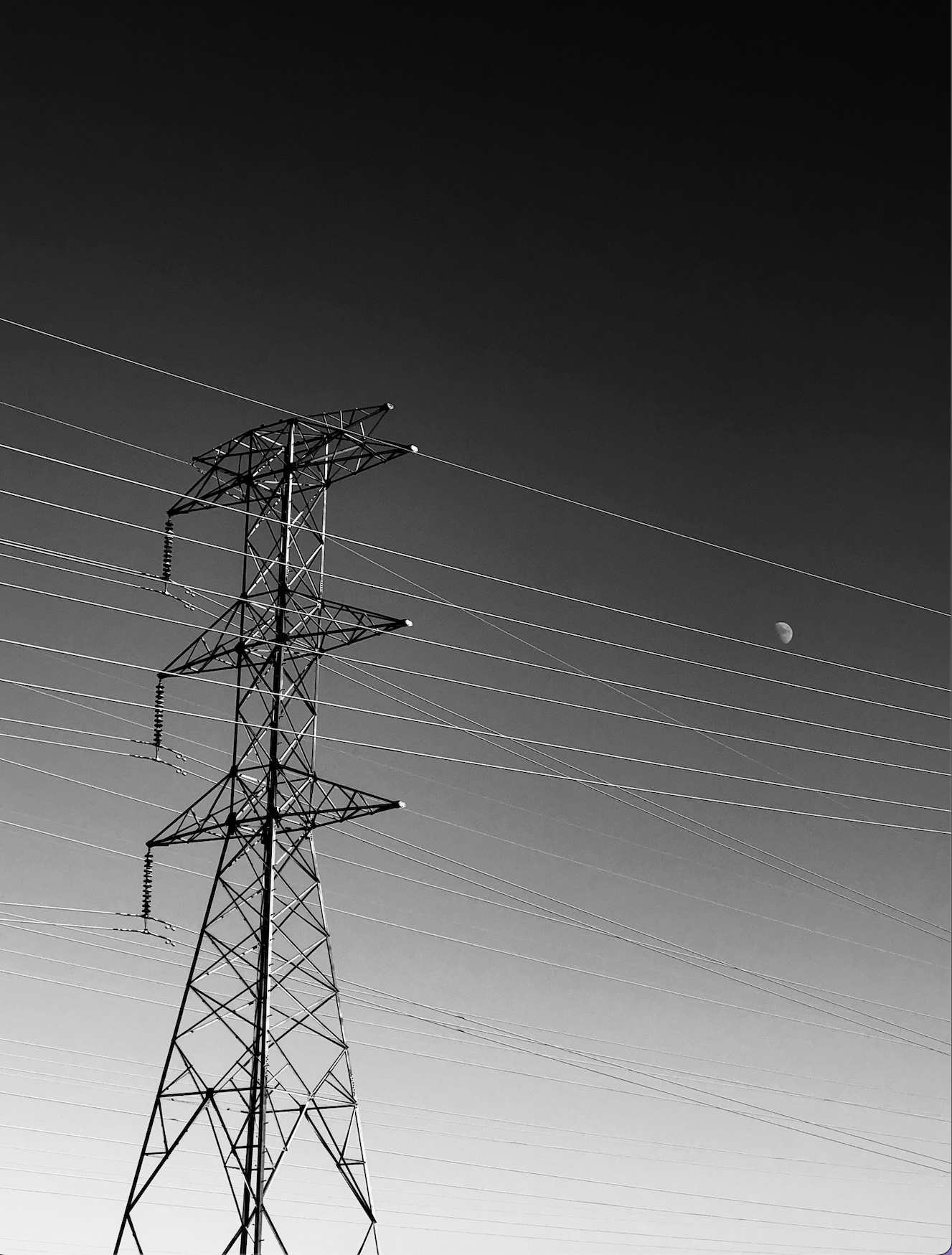 Screen Shot 2022-11-15 at 2.50.06 PM.png