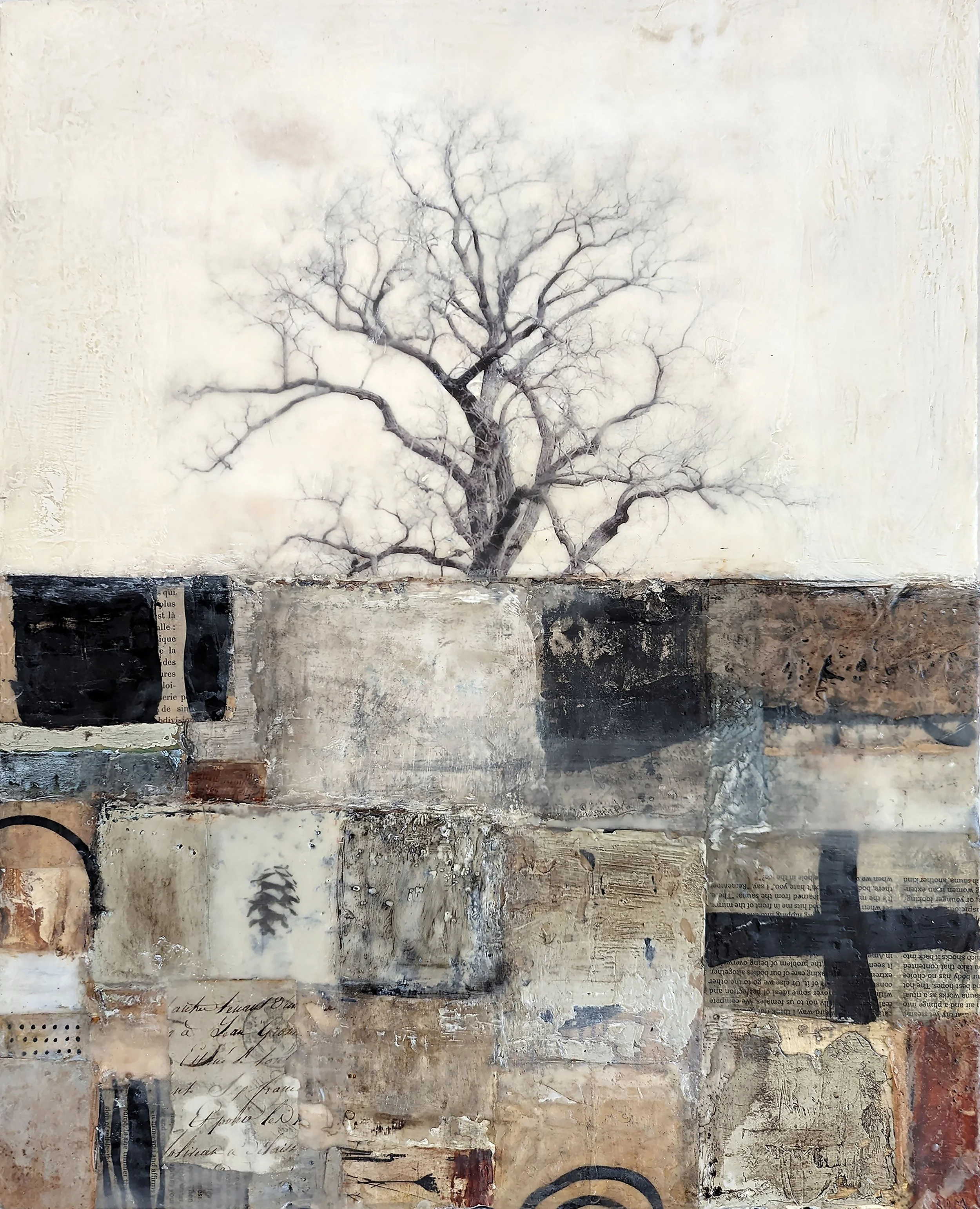 Dead Old Tree / 고목