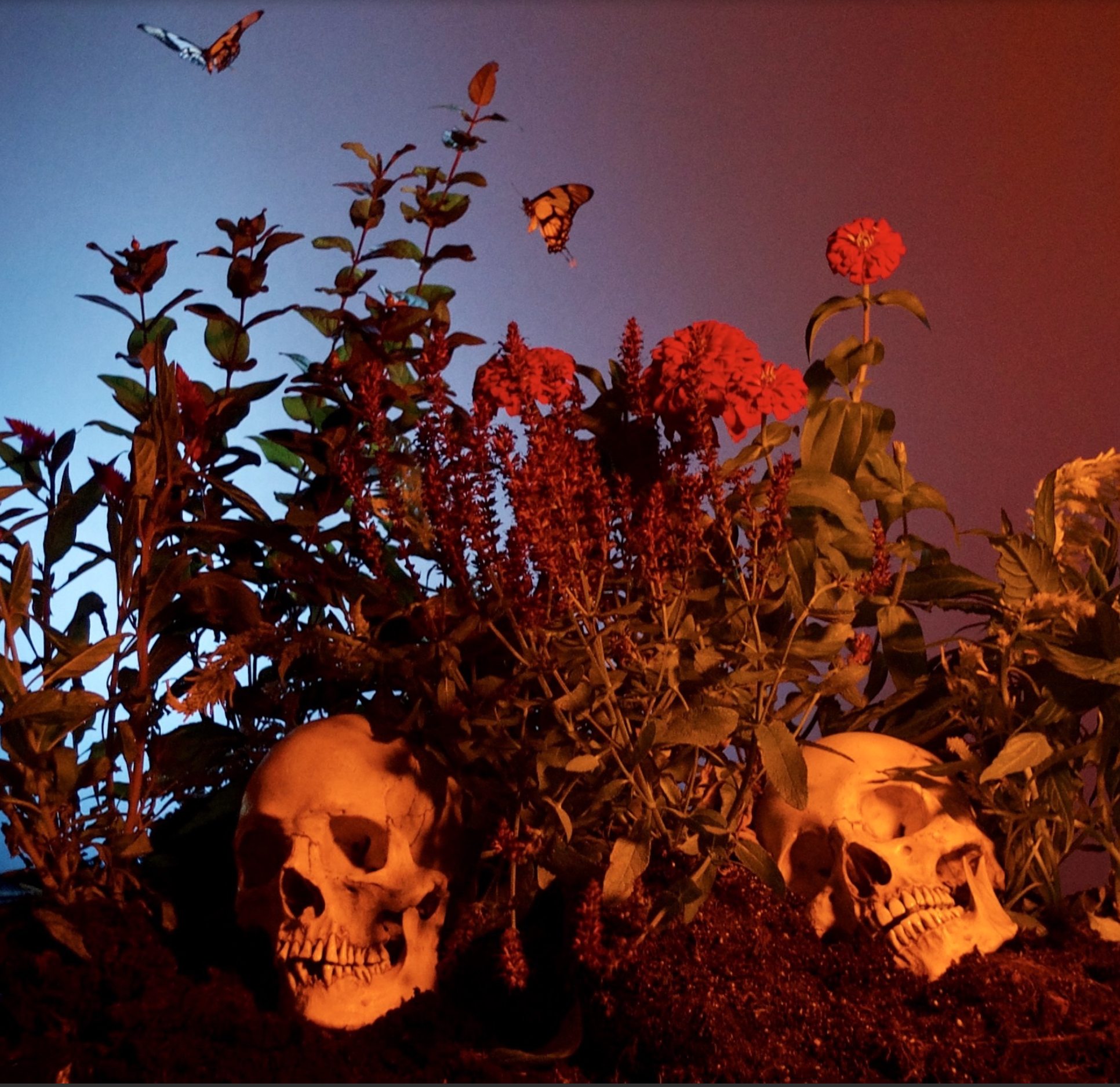 Street Name / Gatans namn