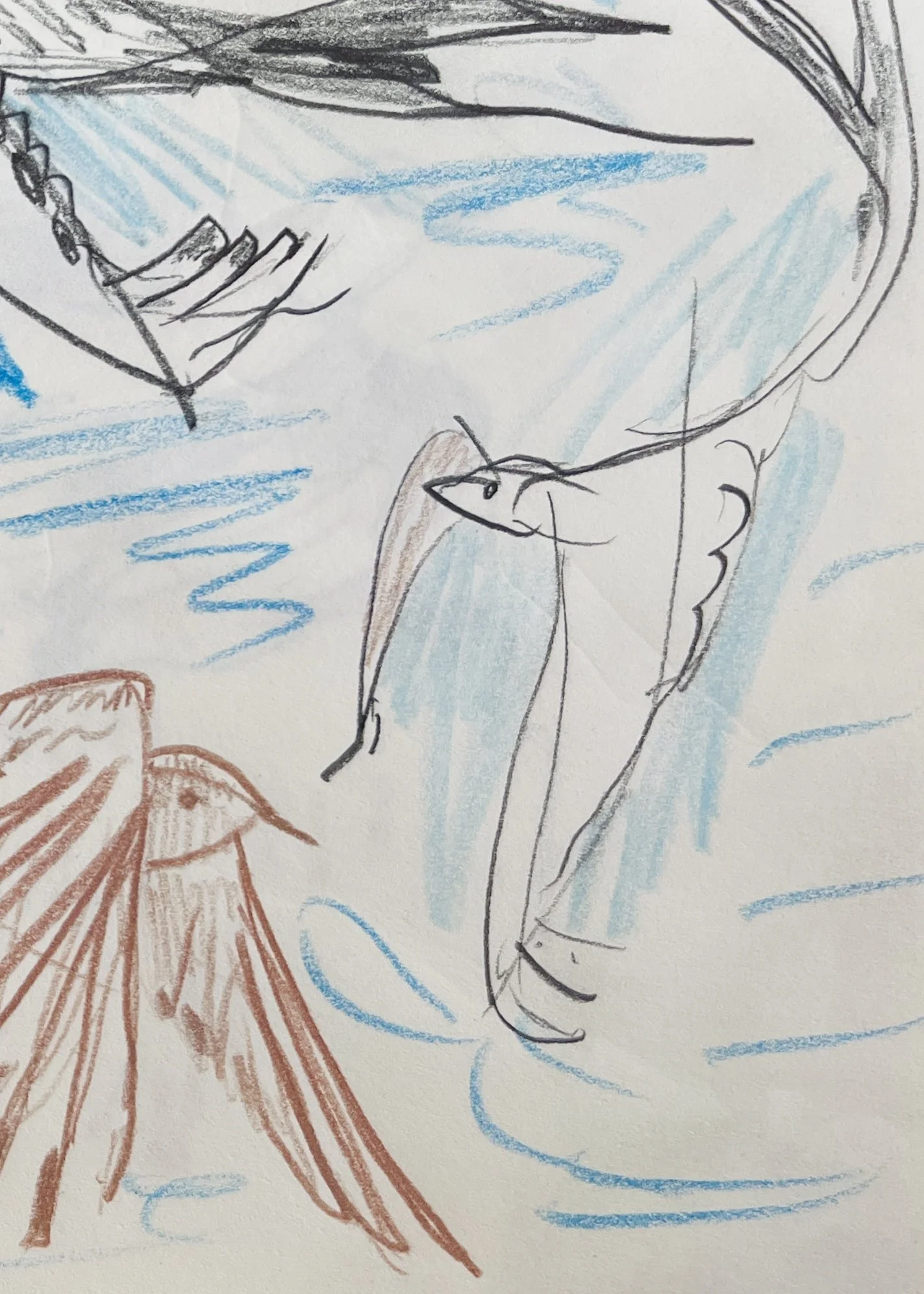 Scissor-Tailed Flycatchers