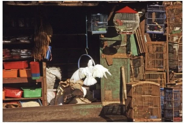 Camp, Roger_3 Images_3.jpg