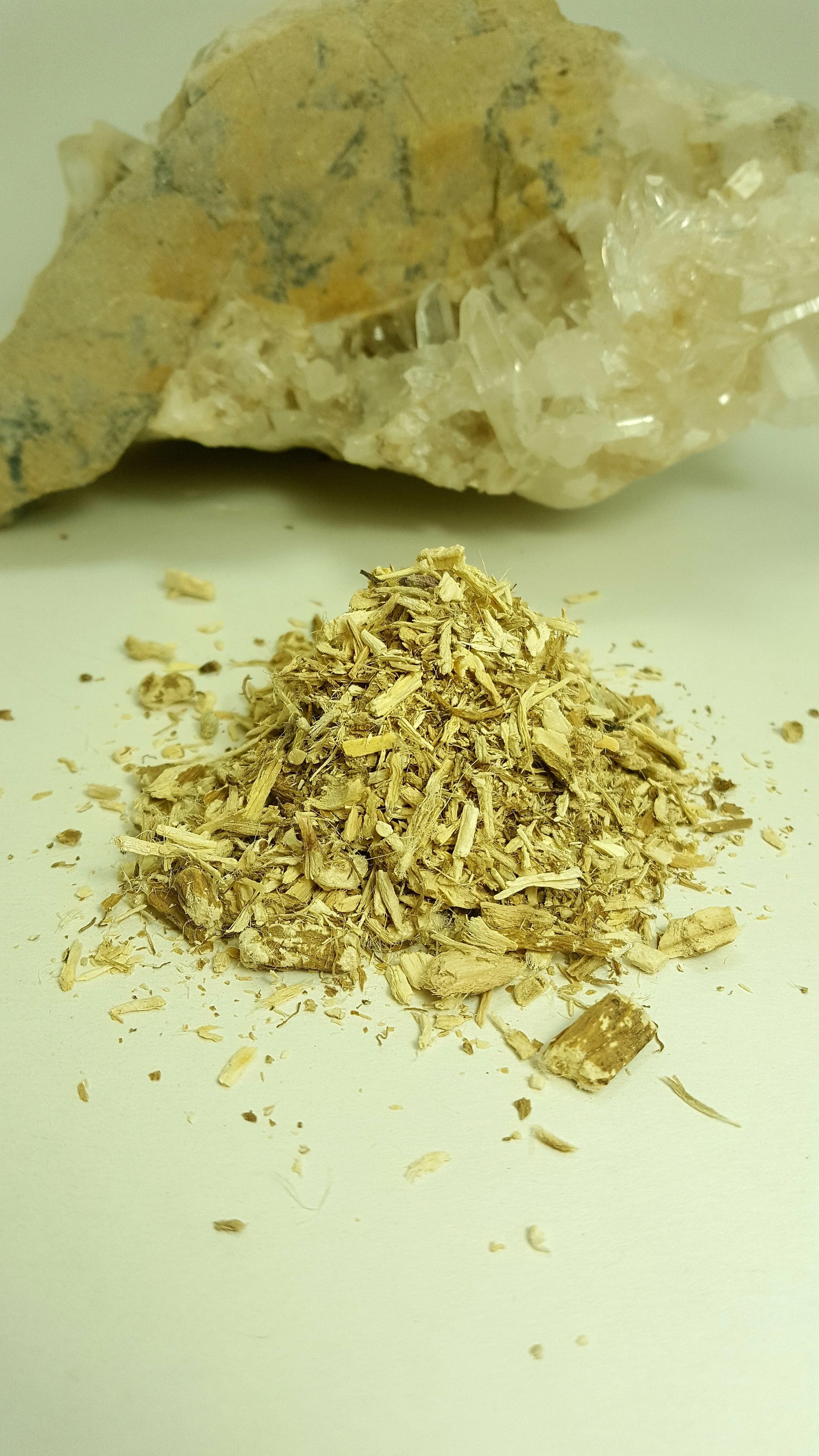 marshmallow root.jpg