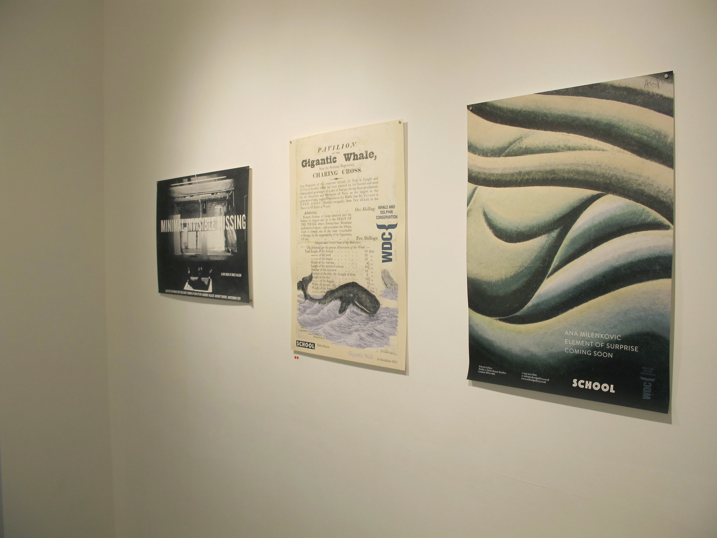Benefit Exhibition in Aid of Whale and Dolphin Conservation 6.jpg