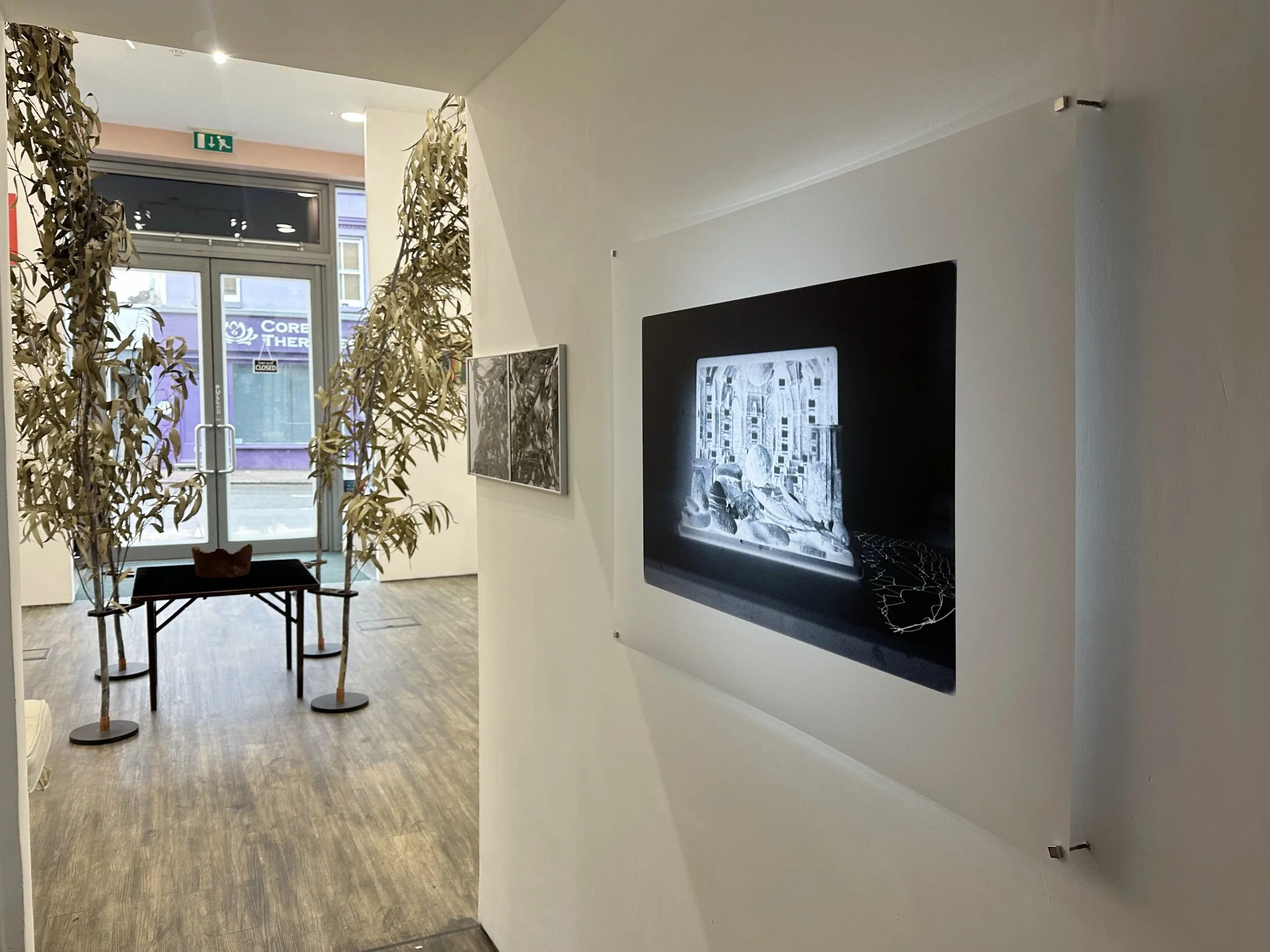 Moon PalaceColin Booth / Matthew Collings / Catherine Haines / Bob Matthews / Simon Patterson / Terry Perk / Terry Smith / Mick Williamson / Fleur Yearsley7 to 28 February