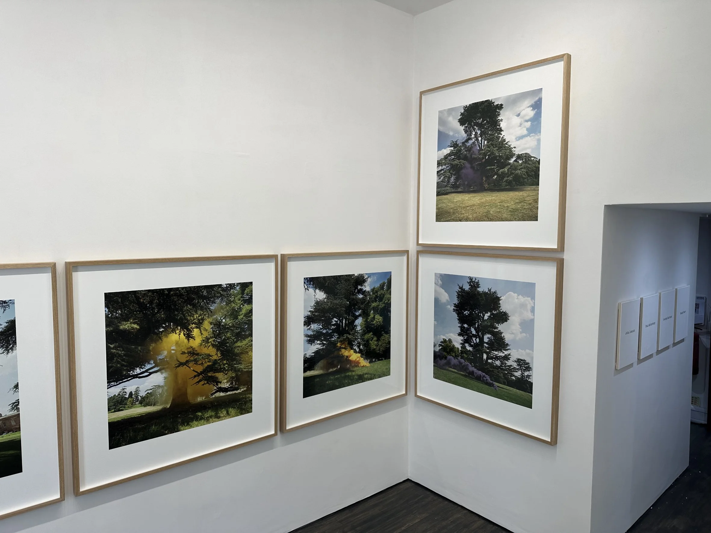 8. School Gallery Artist Simon Patterson Exhibition Stand-ins.jpg