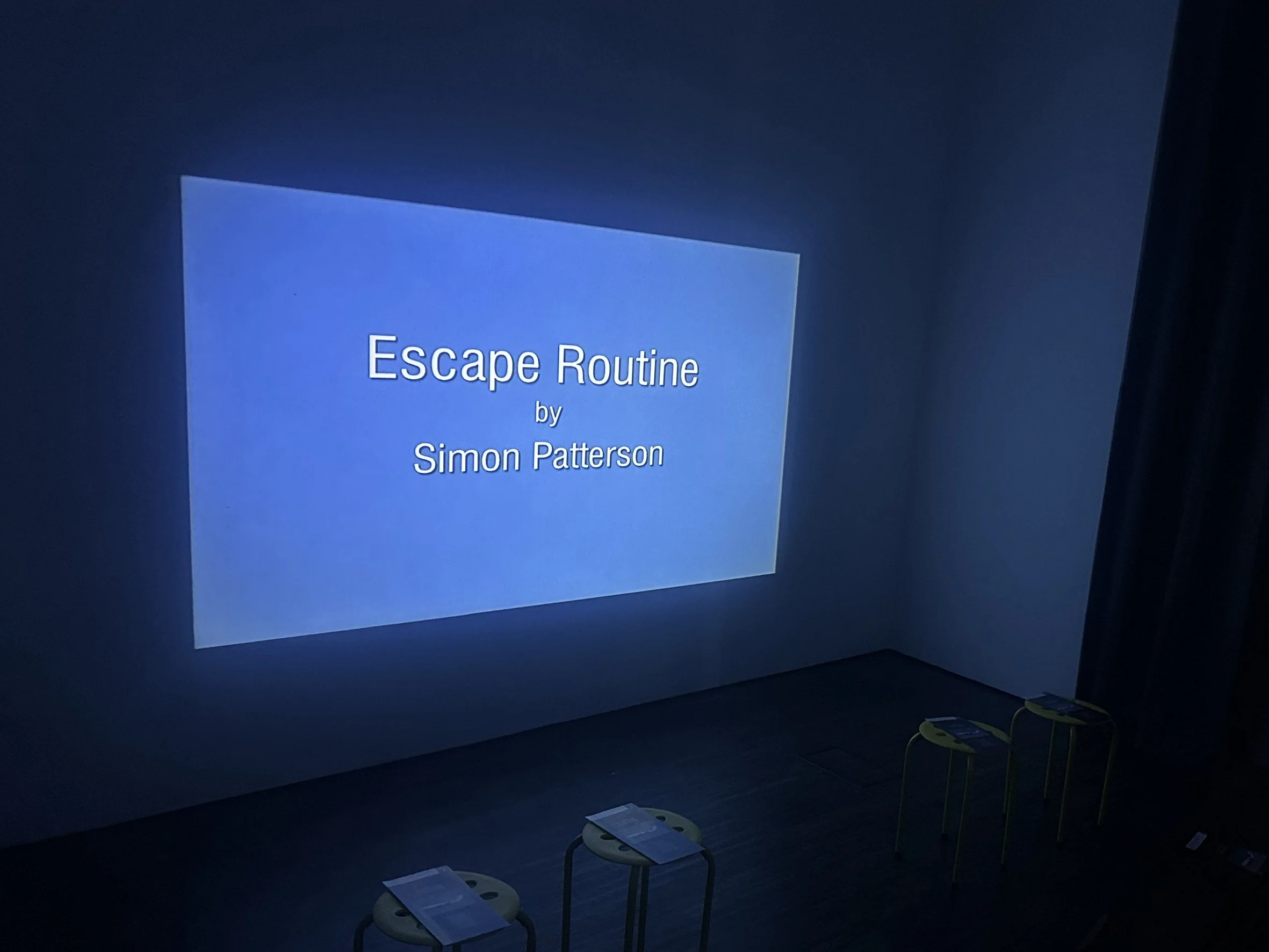 20. School Gallery Artist Simon Patterson Exhibition Stand-ins.jpg