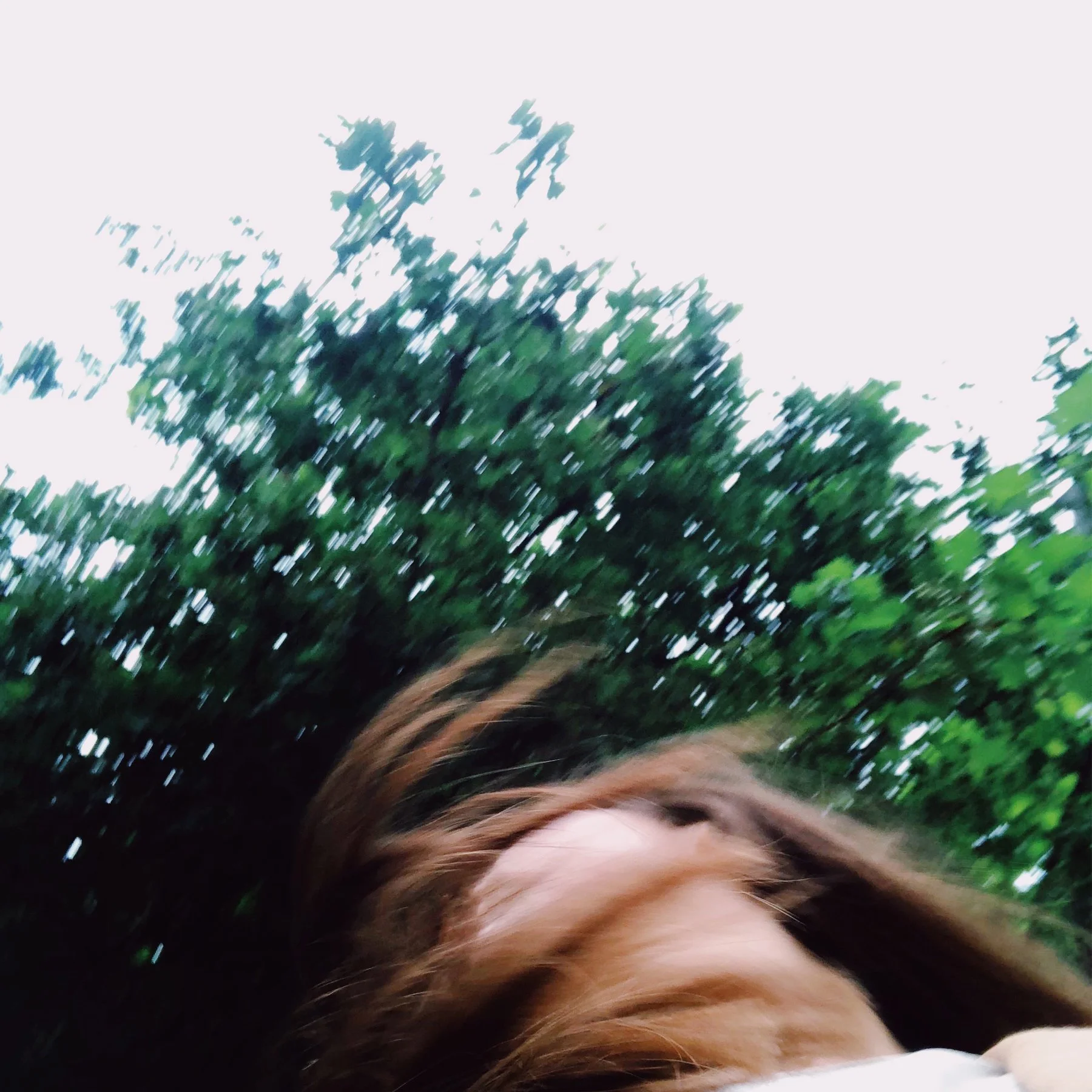 SINGLE RELEASE: S. CAREY ON CYRUS REYNOLDS' "FORAKER"
