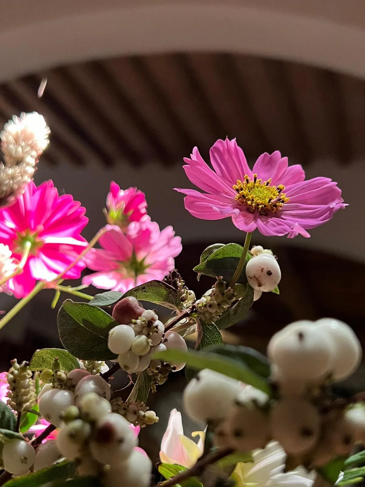 Remember Why You Are Here