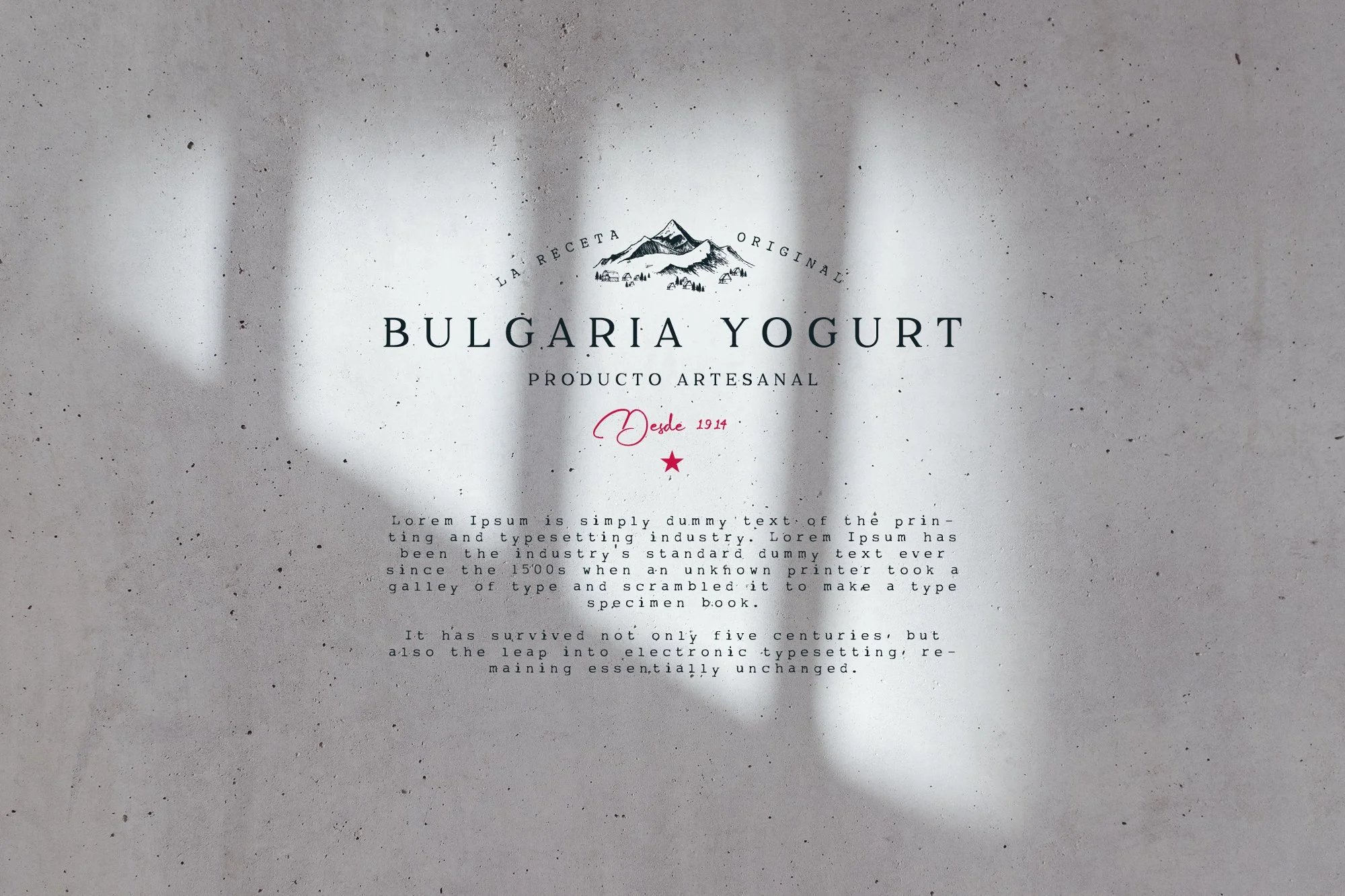 2023_Noviembre_Portafolio_Squarespace_Siclo.jpg