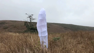 Cocoon-1-2.gif