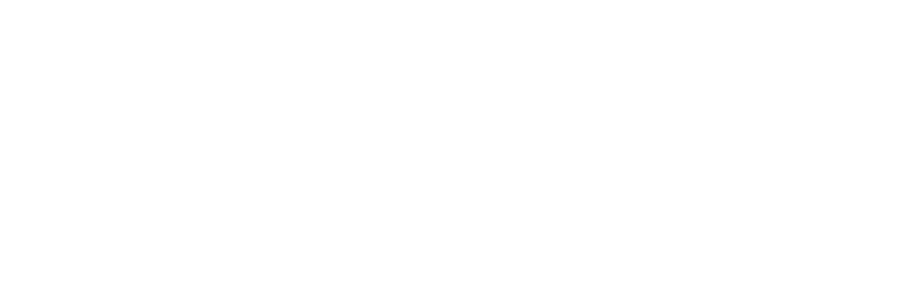 Protect My Tesla 