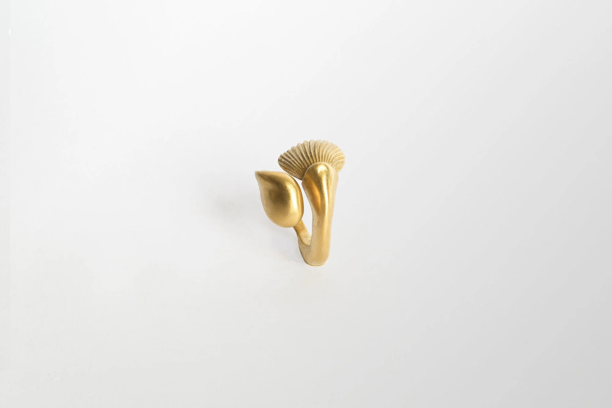Wrapped shell ring in gold