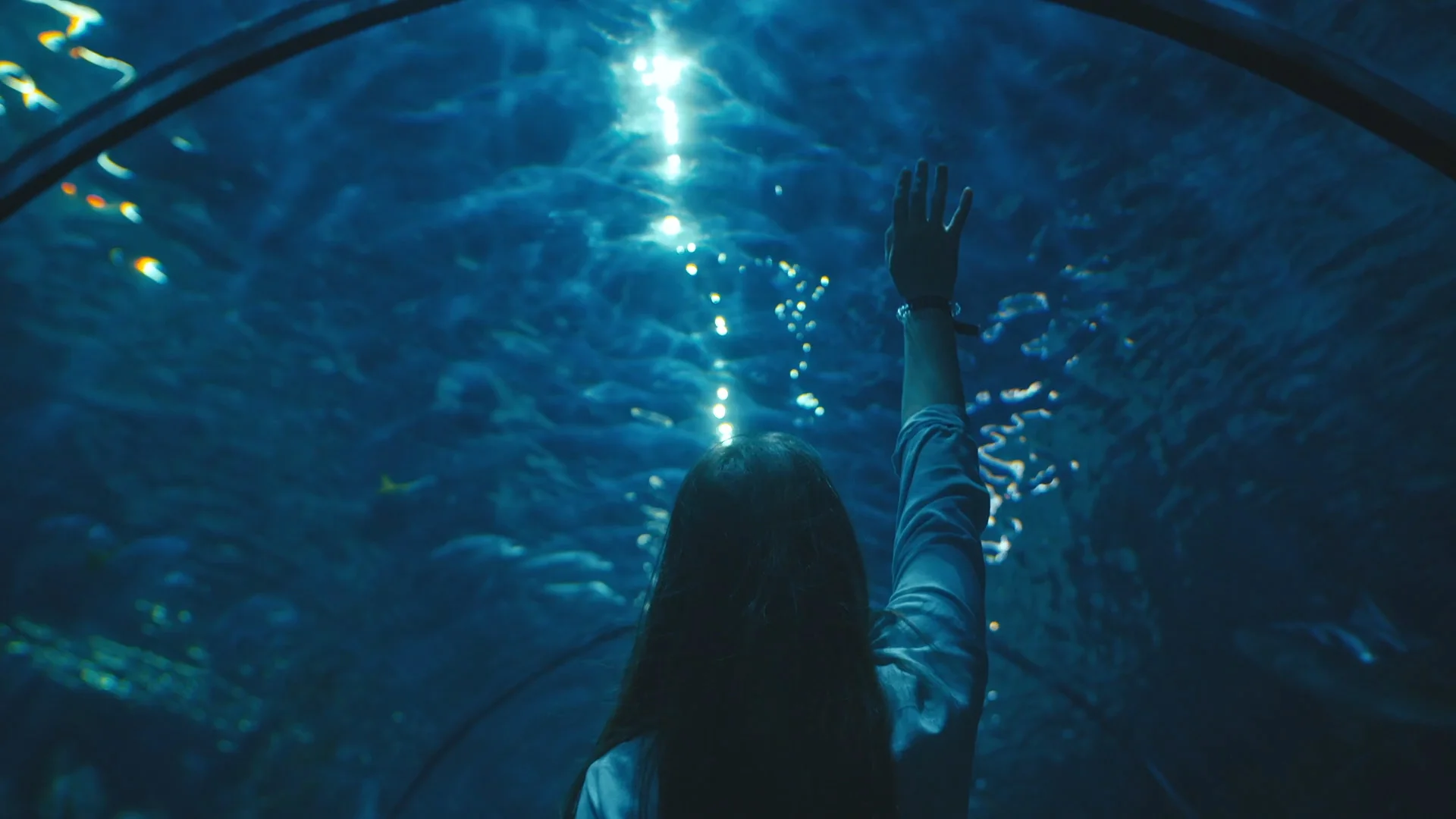 j2019_005-TUI Canaries_Tenerife_Edit_02 Final Delivery.00_00_16_12.Still001.jpg