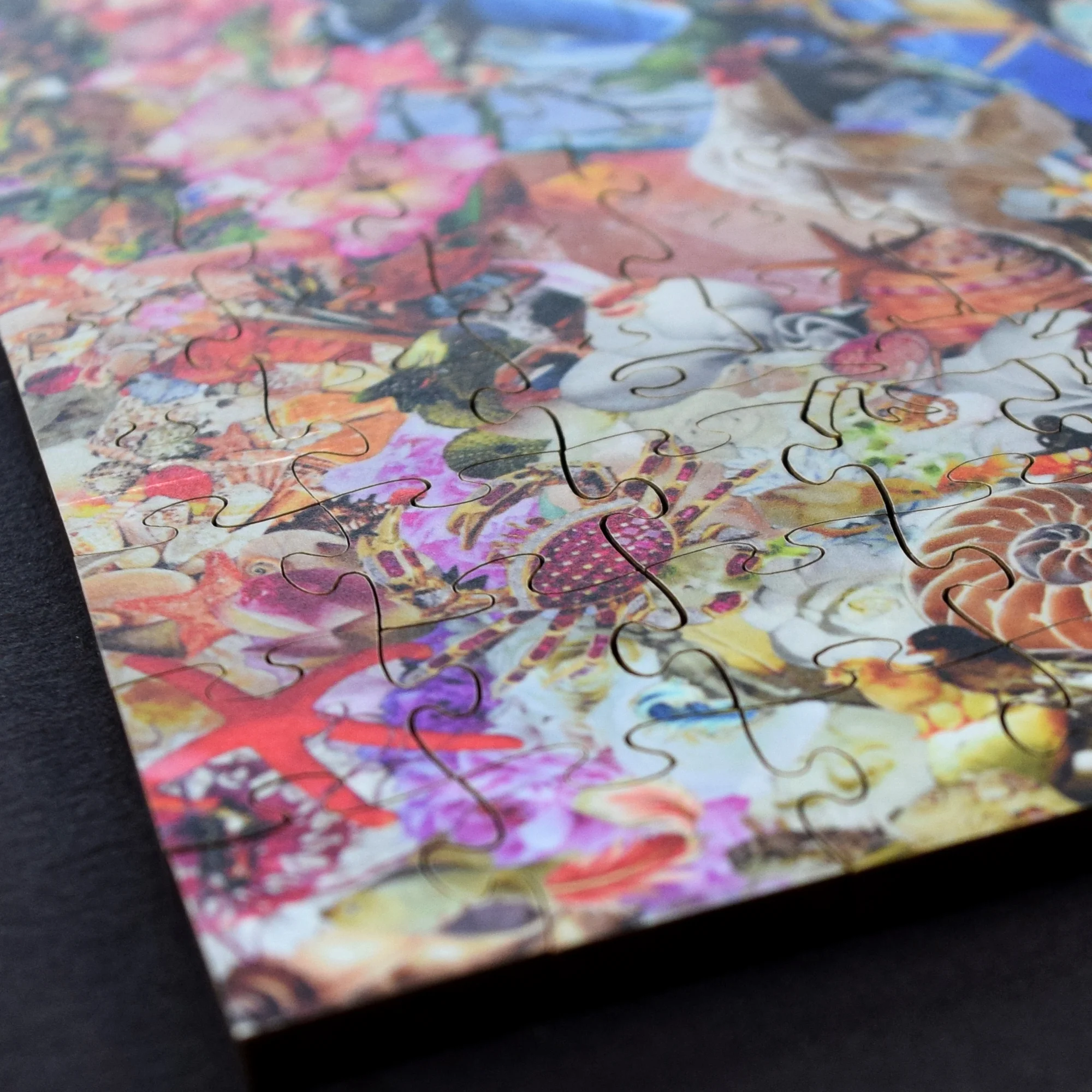 Search with your soul...