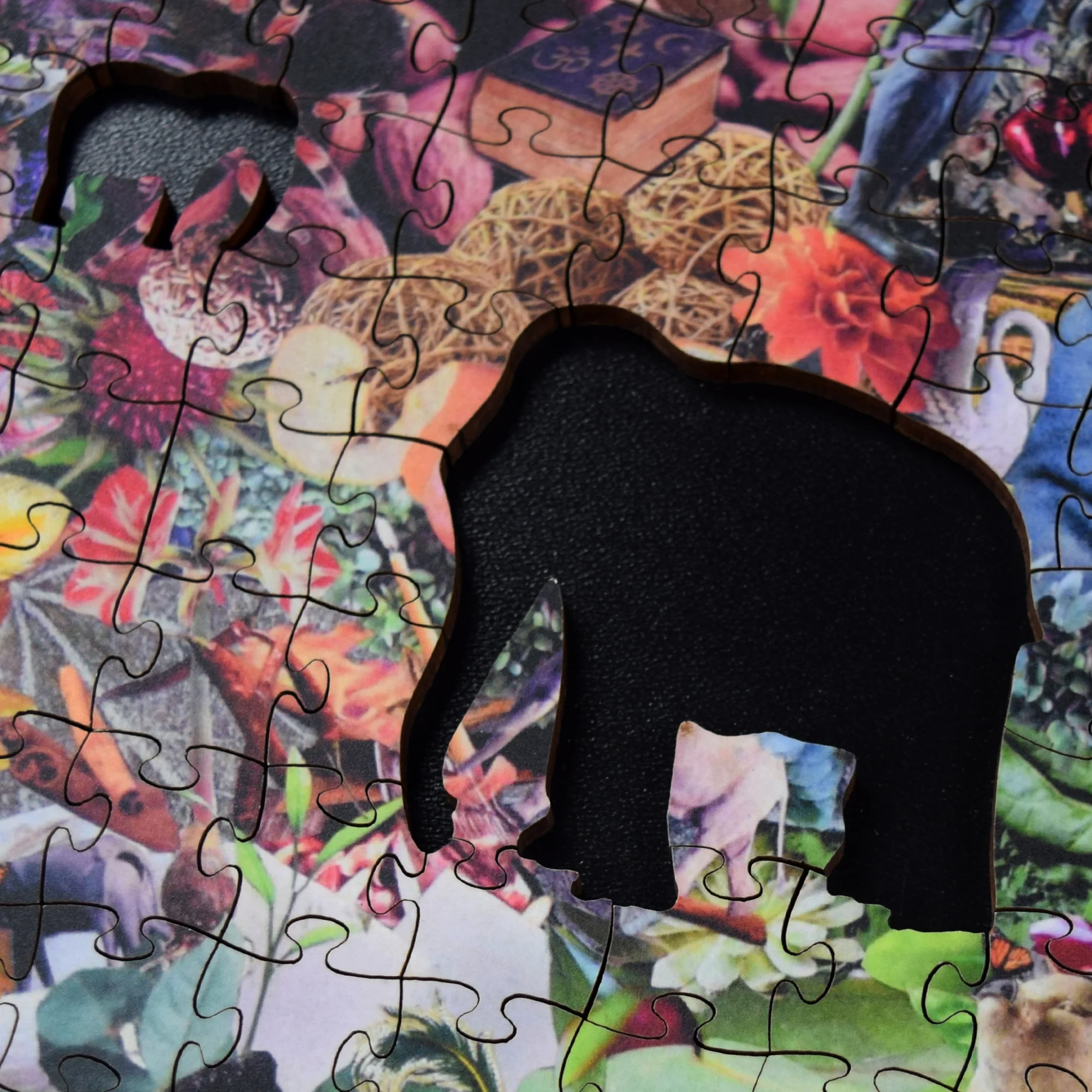 Spy with your eye...