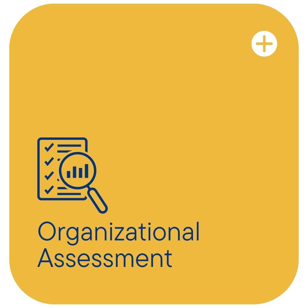 Organizational Assessment