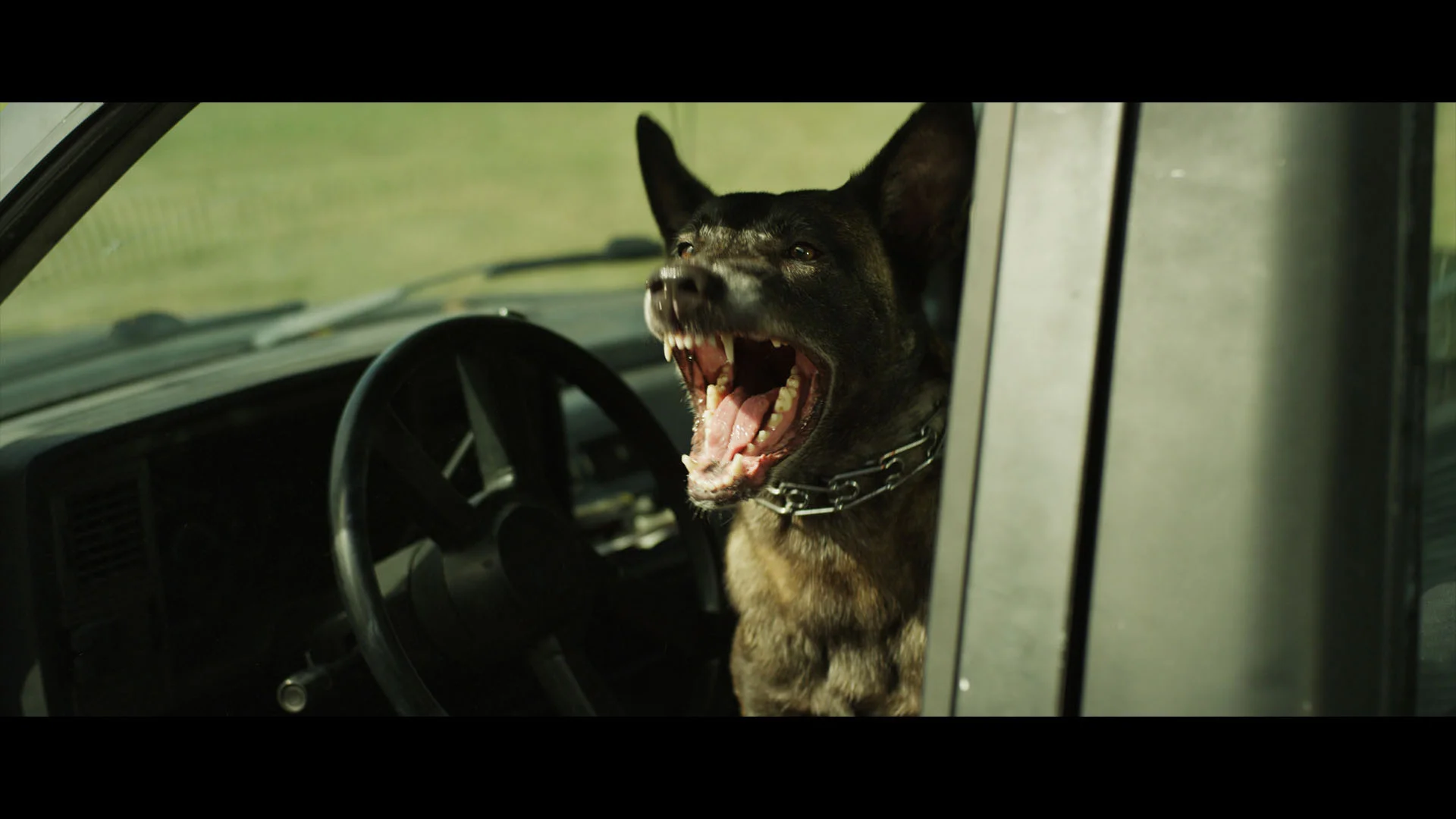 Vicious_Dog.jpg