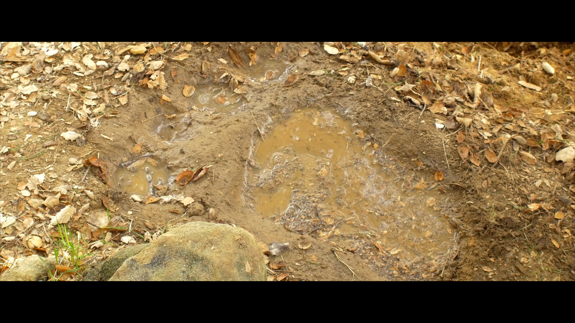 Footprint.jpg