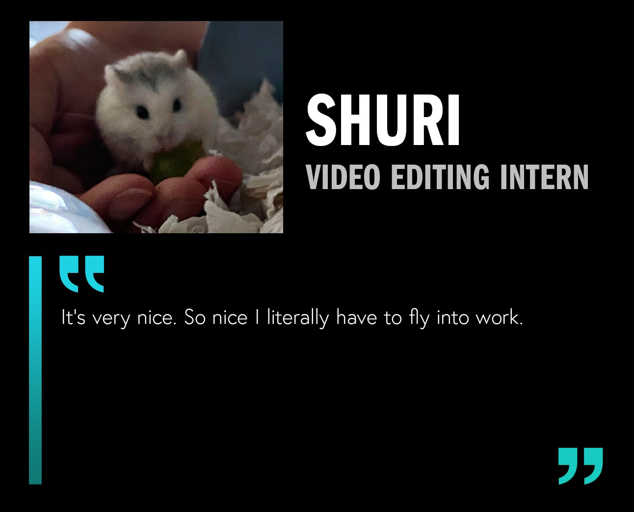 Squarespace_Career_Shuri.jpg