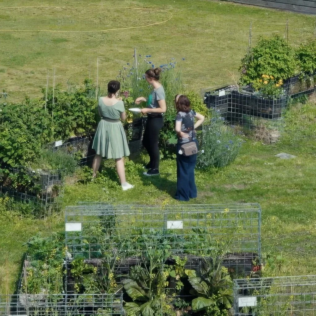 “GREEN CITY LIFE ENGAGES WITH THE SOLUTIONS IN AN INTERESTING WAY” | GREEN CITY LIFE