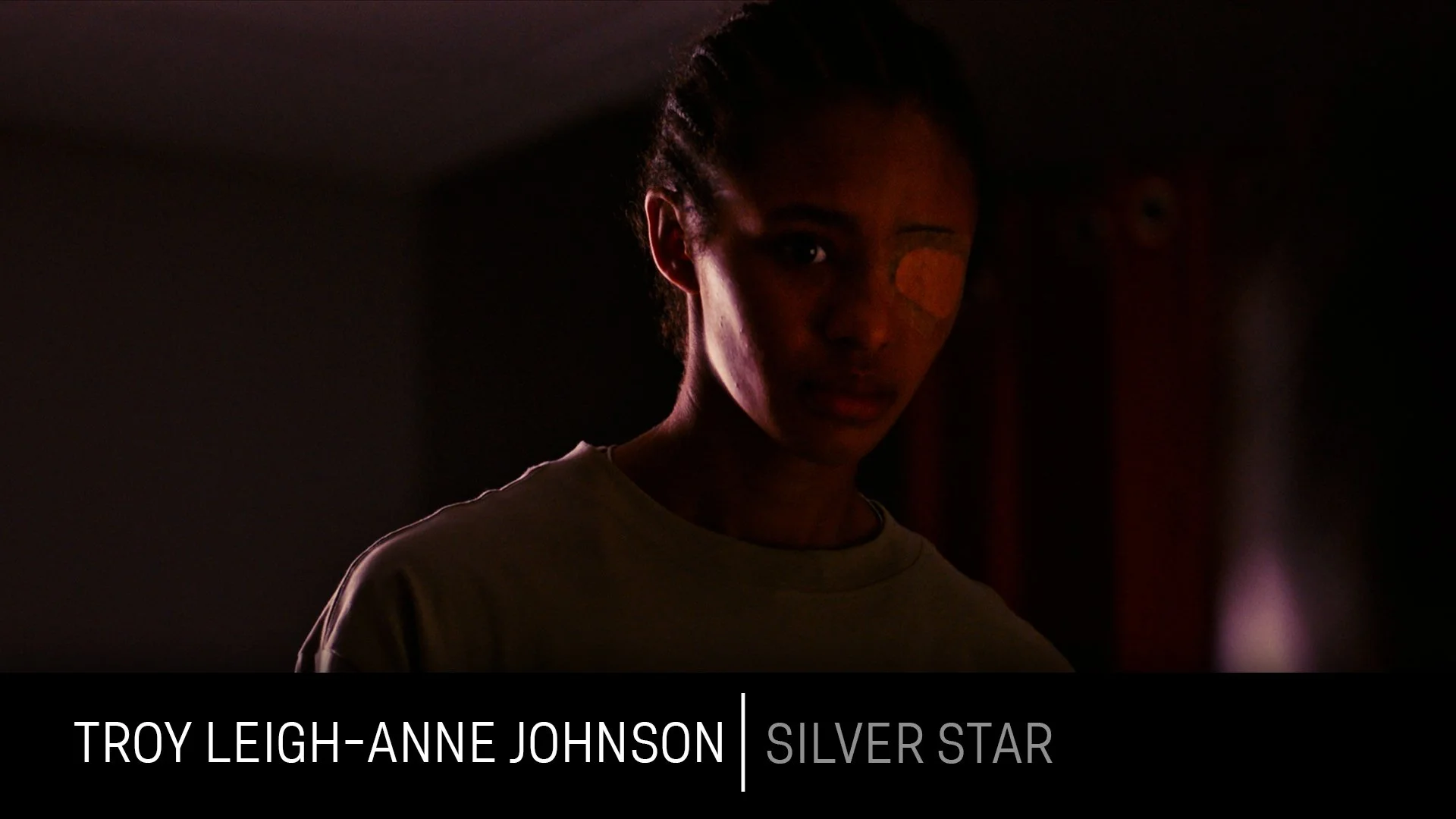 Troy Leigh-anne Johnson_Silver Star.jpg