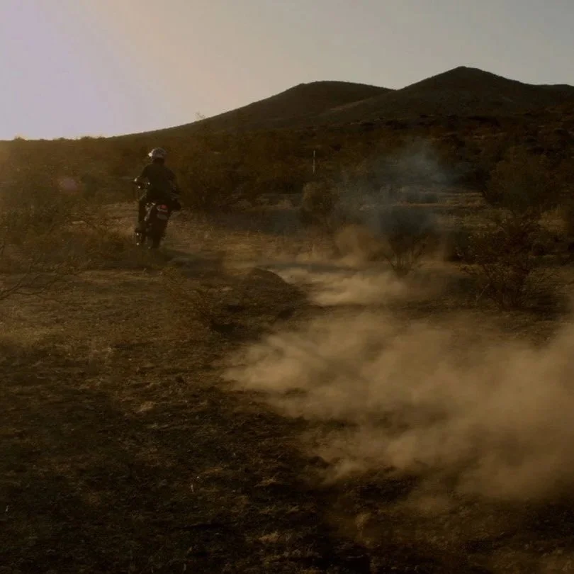 “THE FILM WAS GOOD AND THEN ALFRED MOLINA SHOWED UP IN A CAMEO AND IT BECAME A MASTERPIECE.” | ASHES