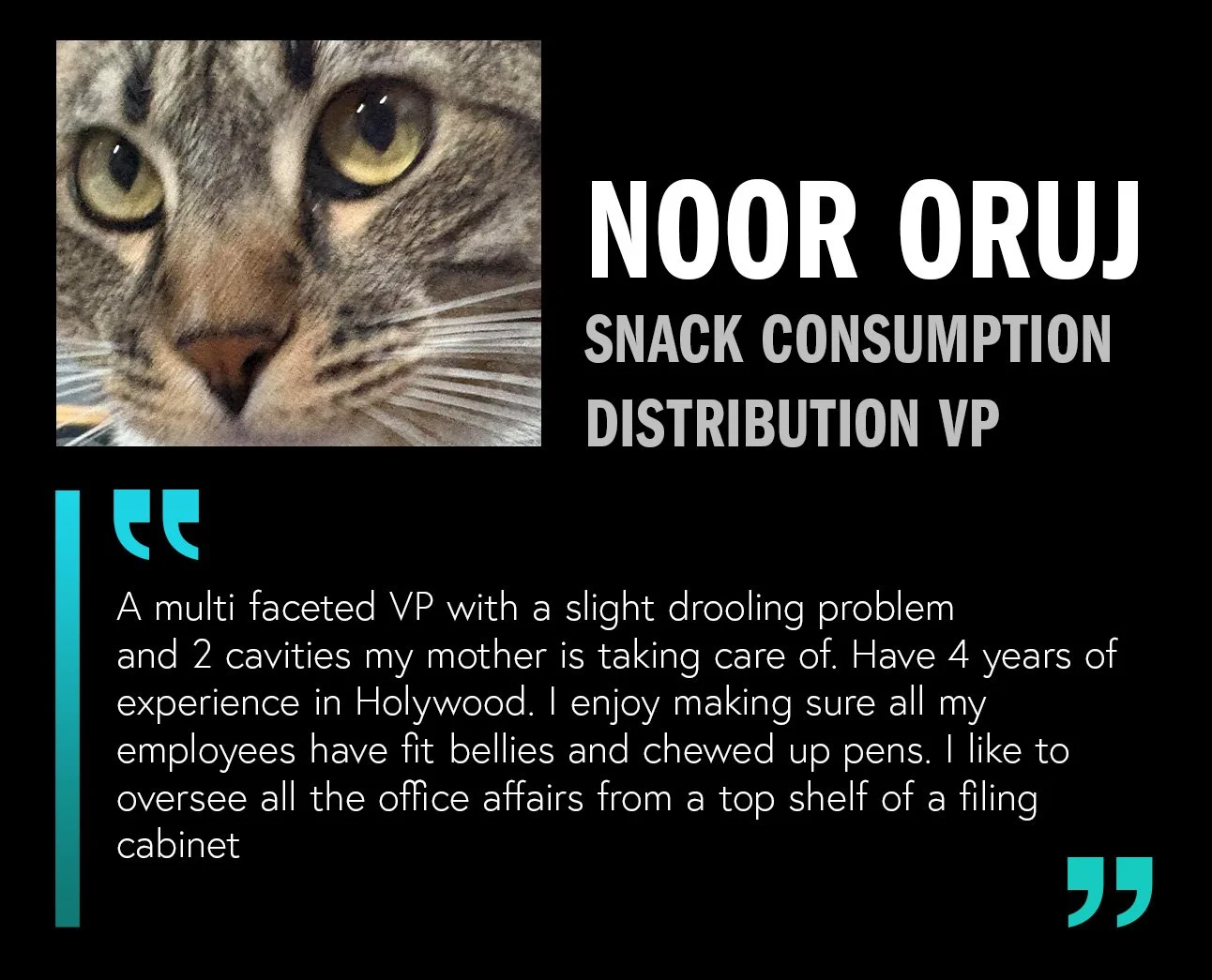 Squarespace_Career_Noor_Template.jpg