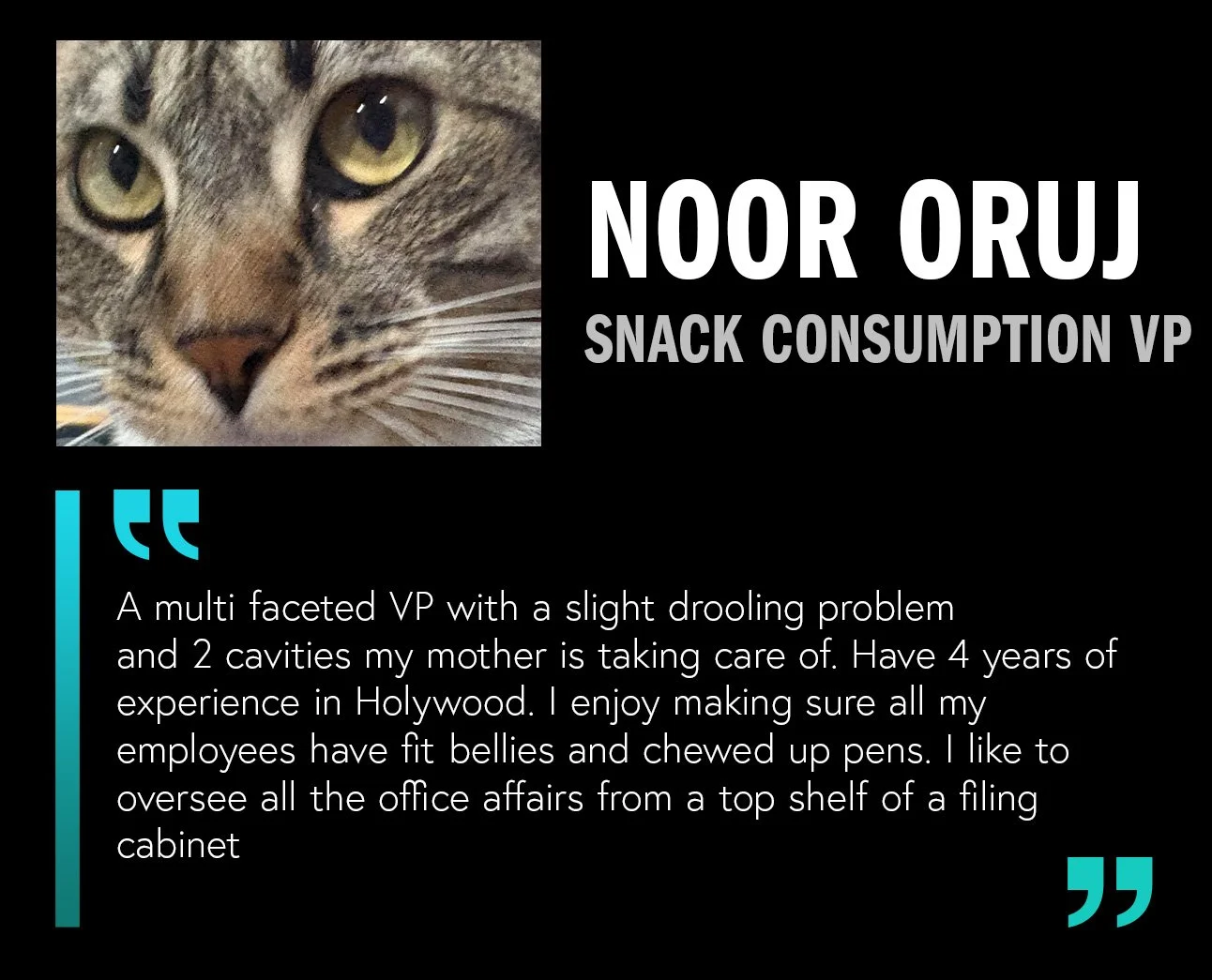 Squarespace_Career_Noor_Template.jpg