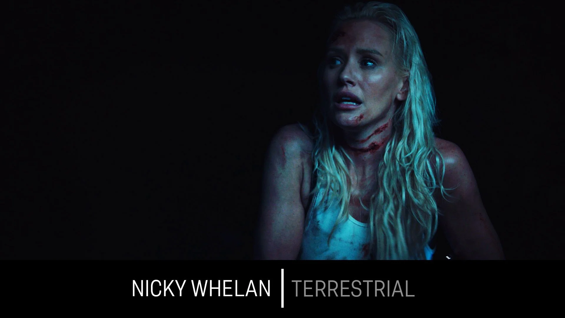 Nicky Whelan_Terrestrial.jpg