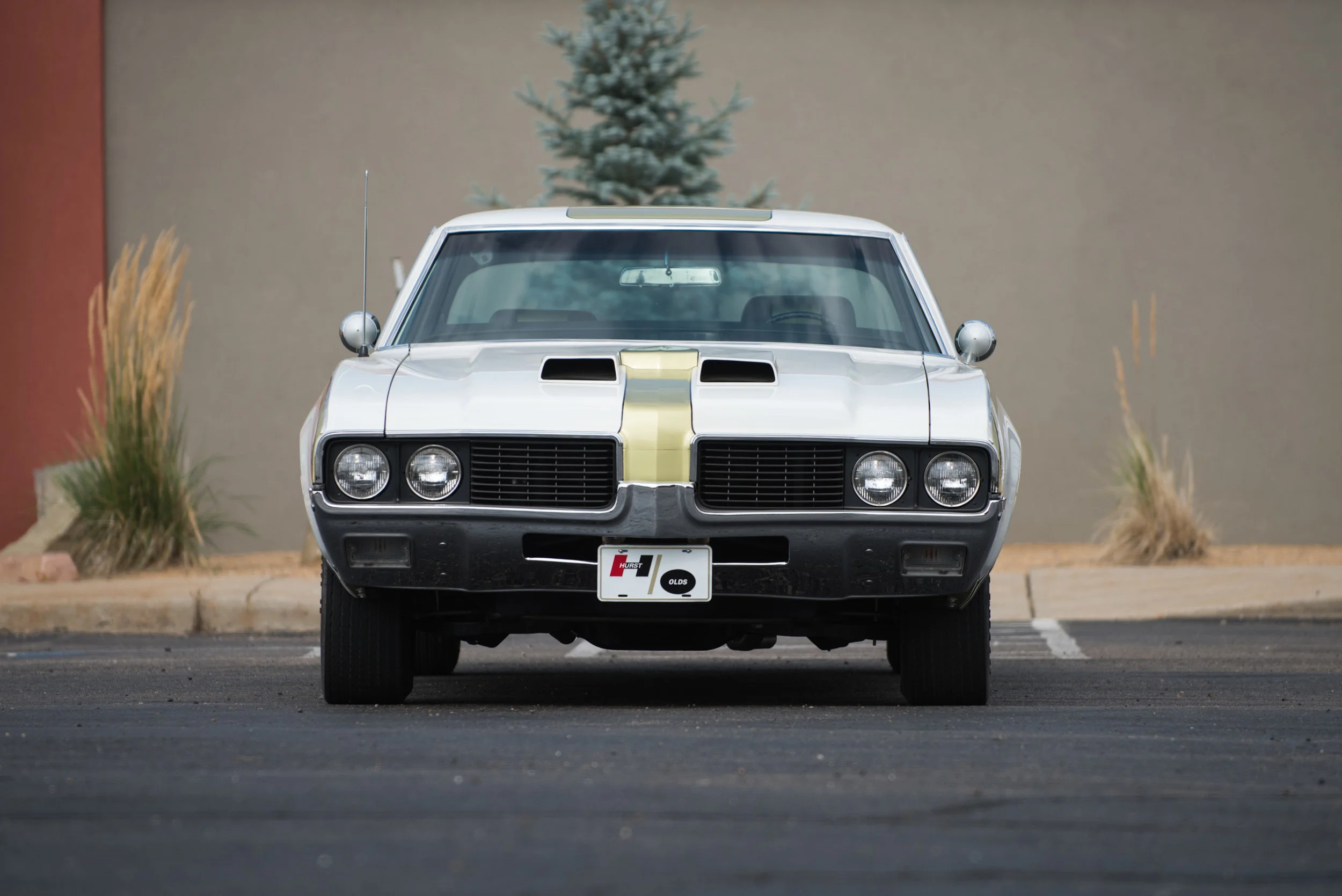 Hurst_05.jpg