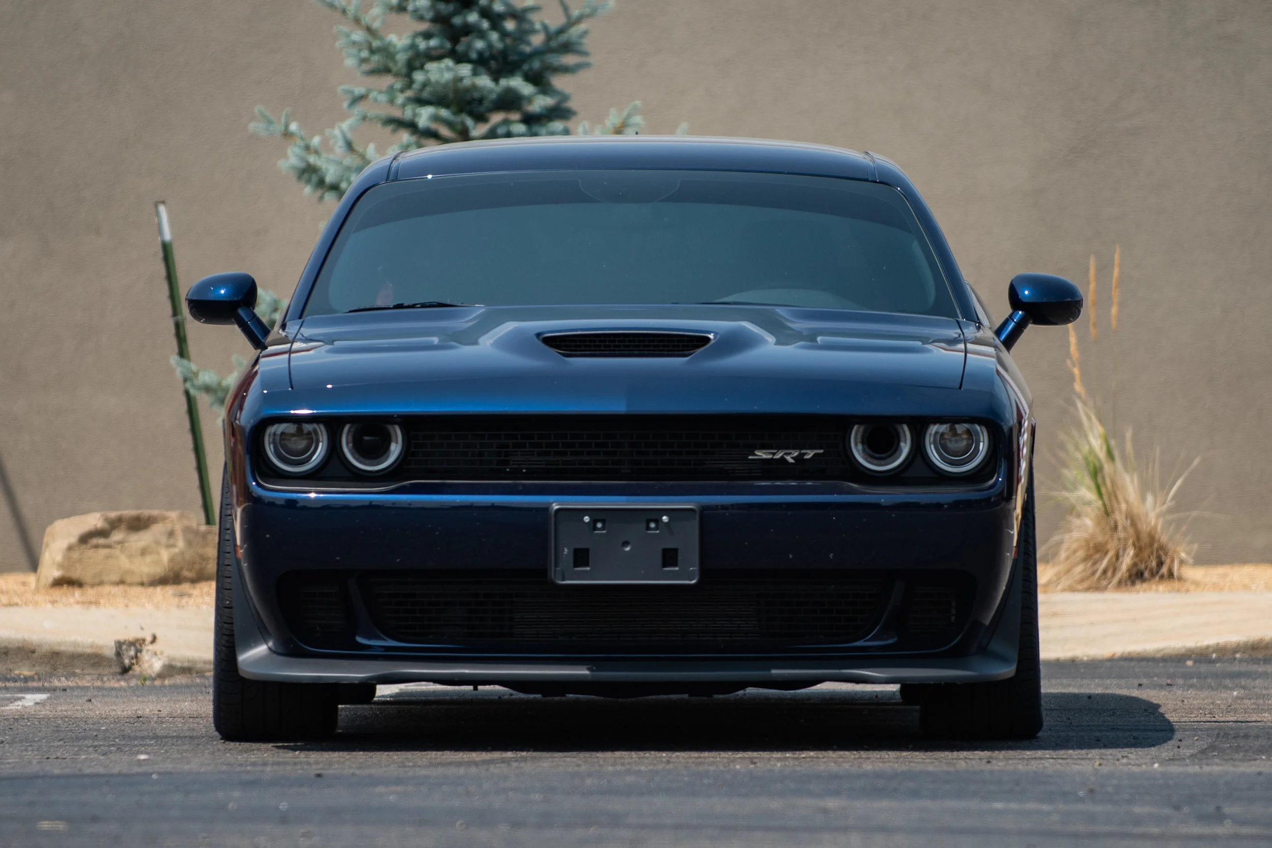 Hellcat_03.jpg
