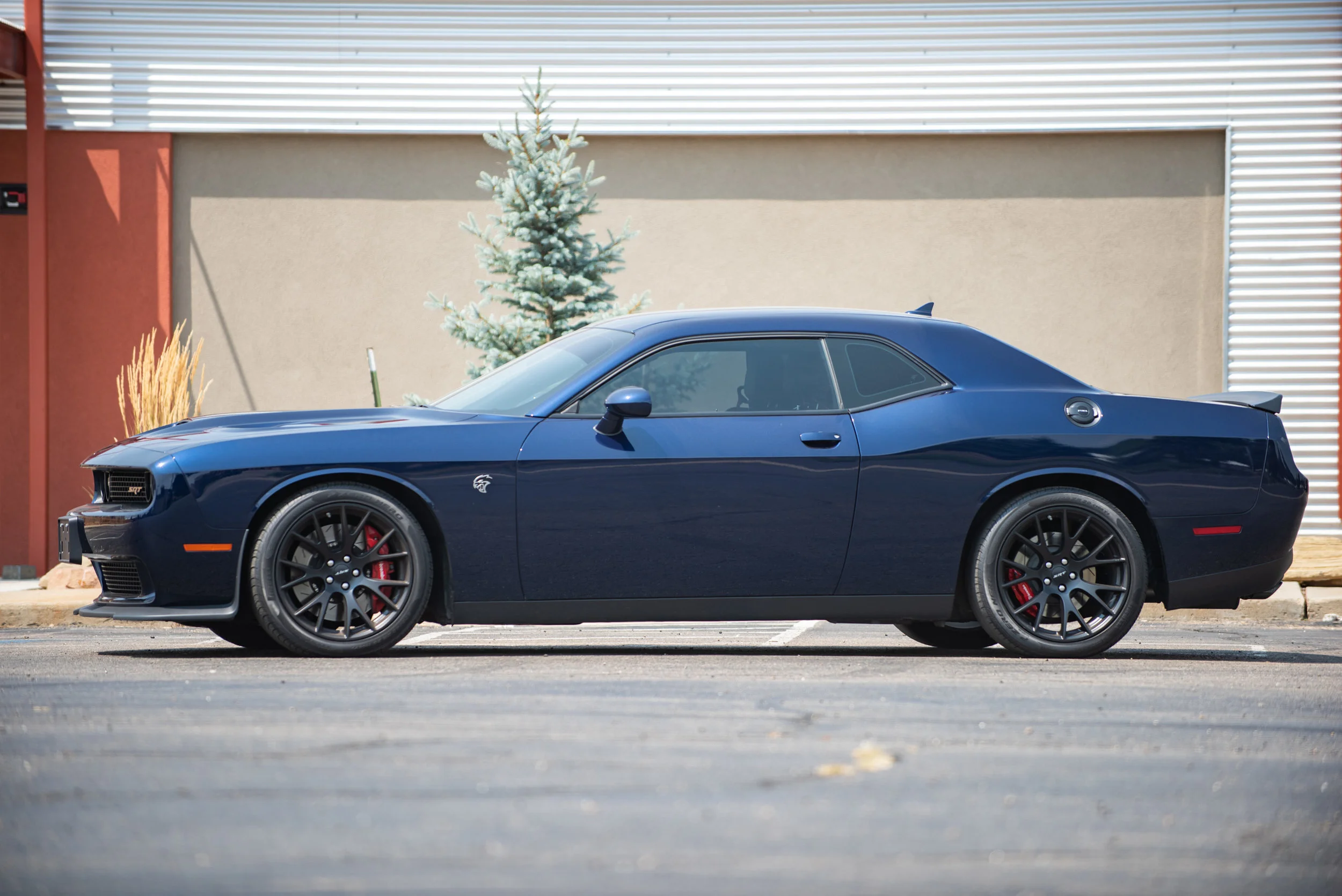 Hellcat_02.jpg